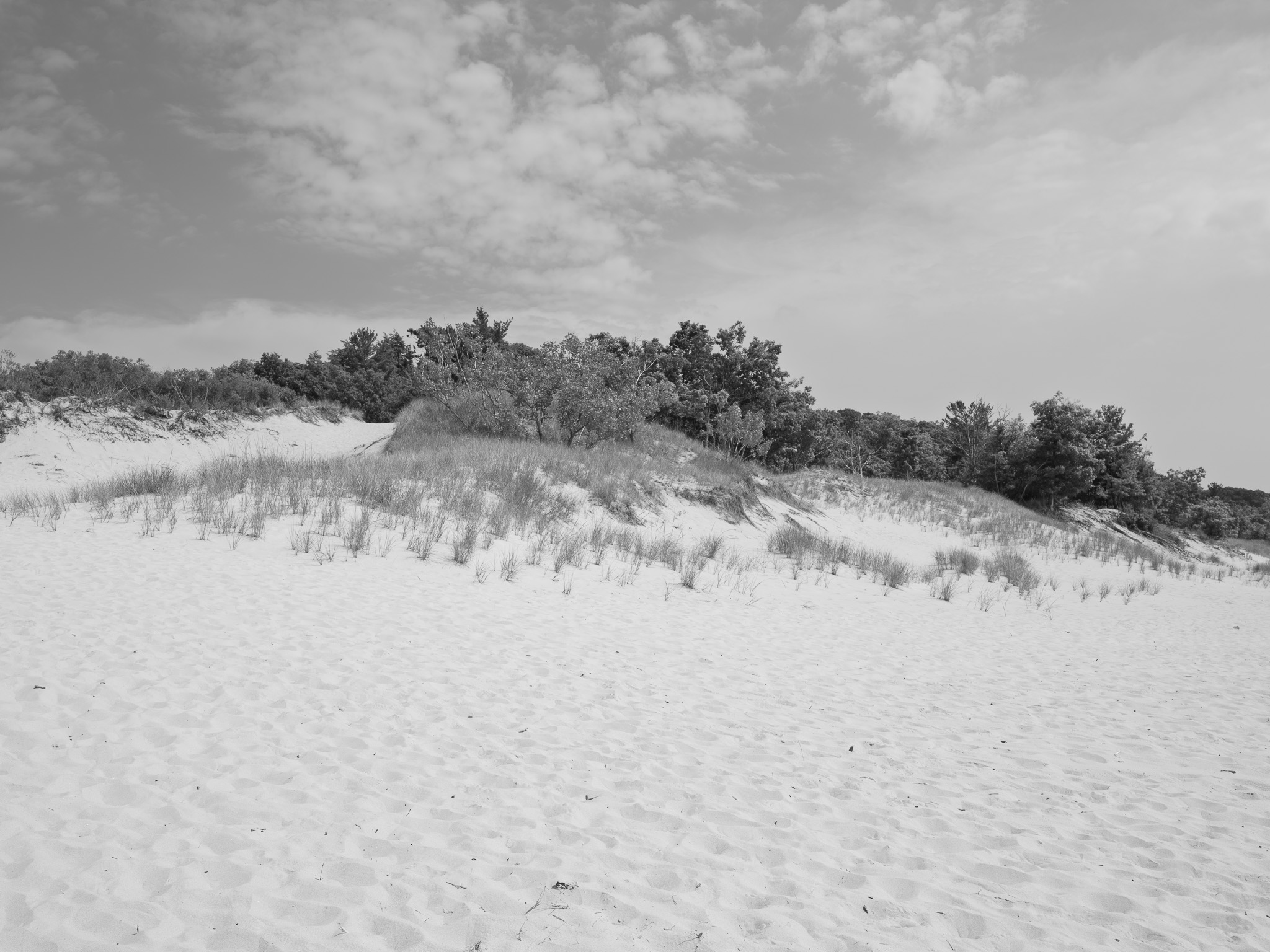 P.J. Hoffmaster State Park 5