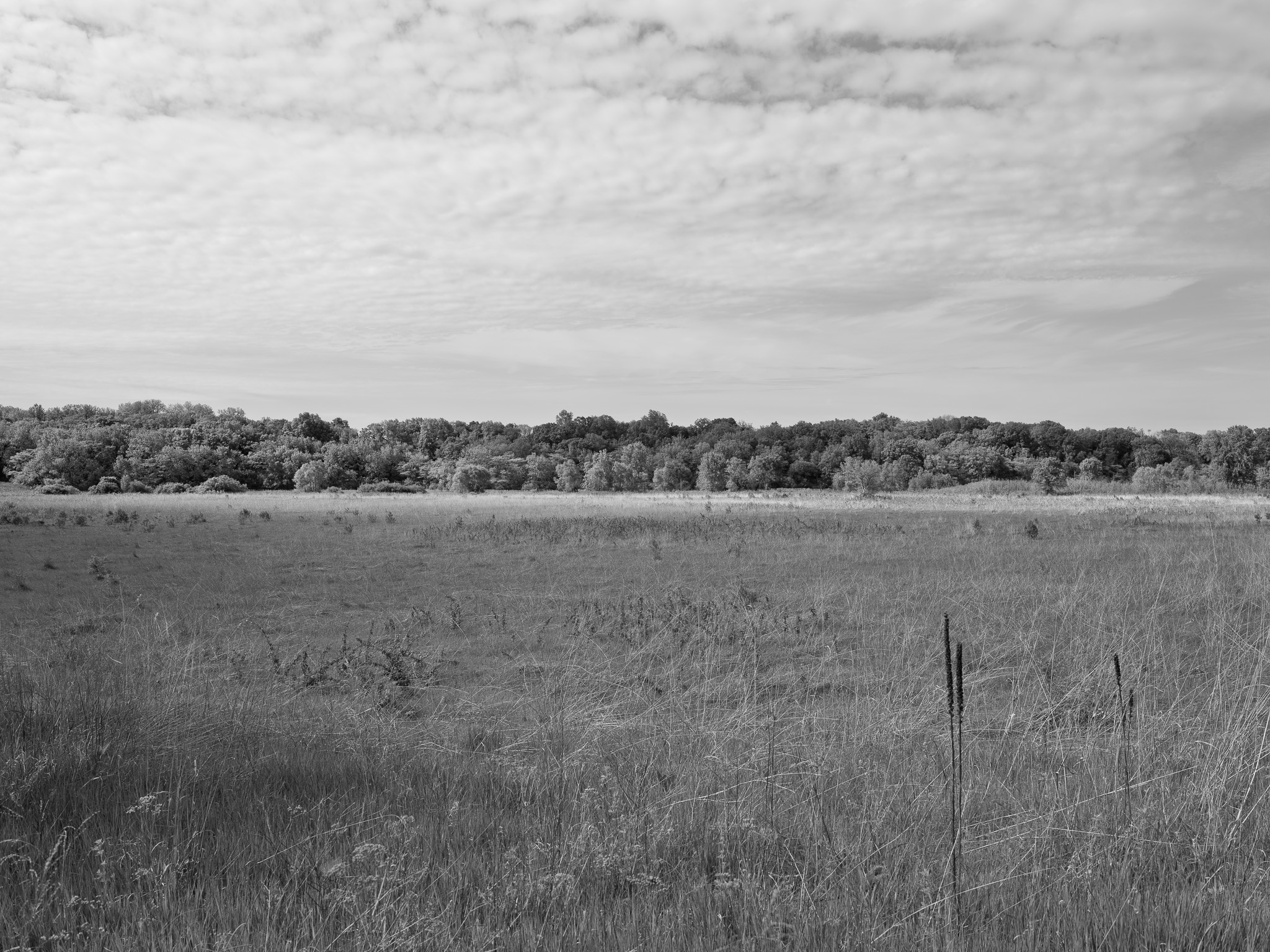 Prophetstown State Park 1
