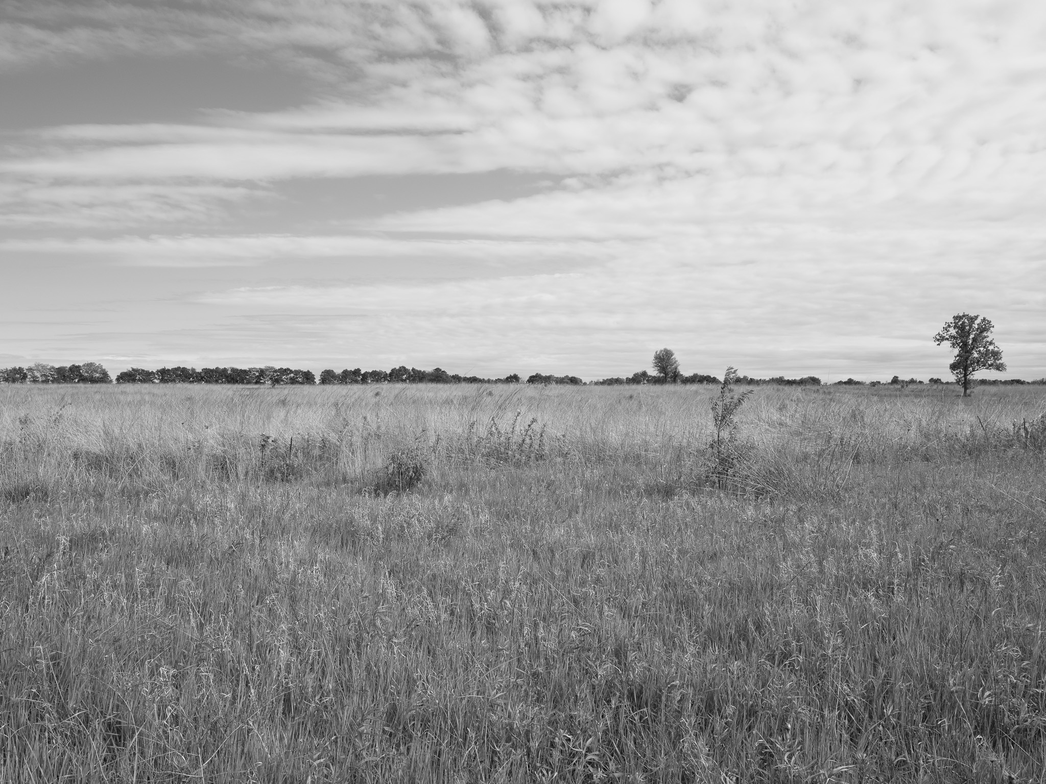 Prophetstown State Park 2