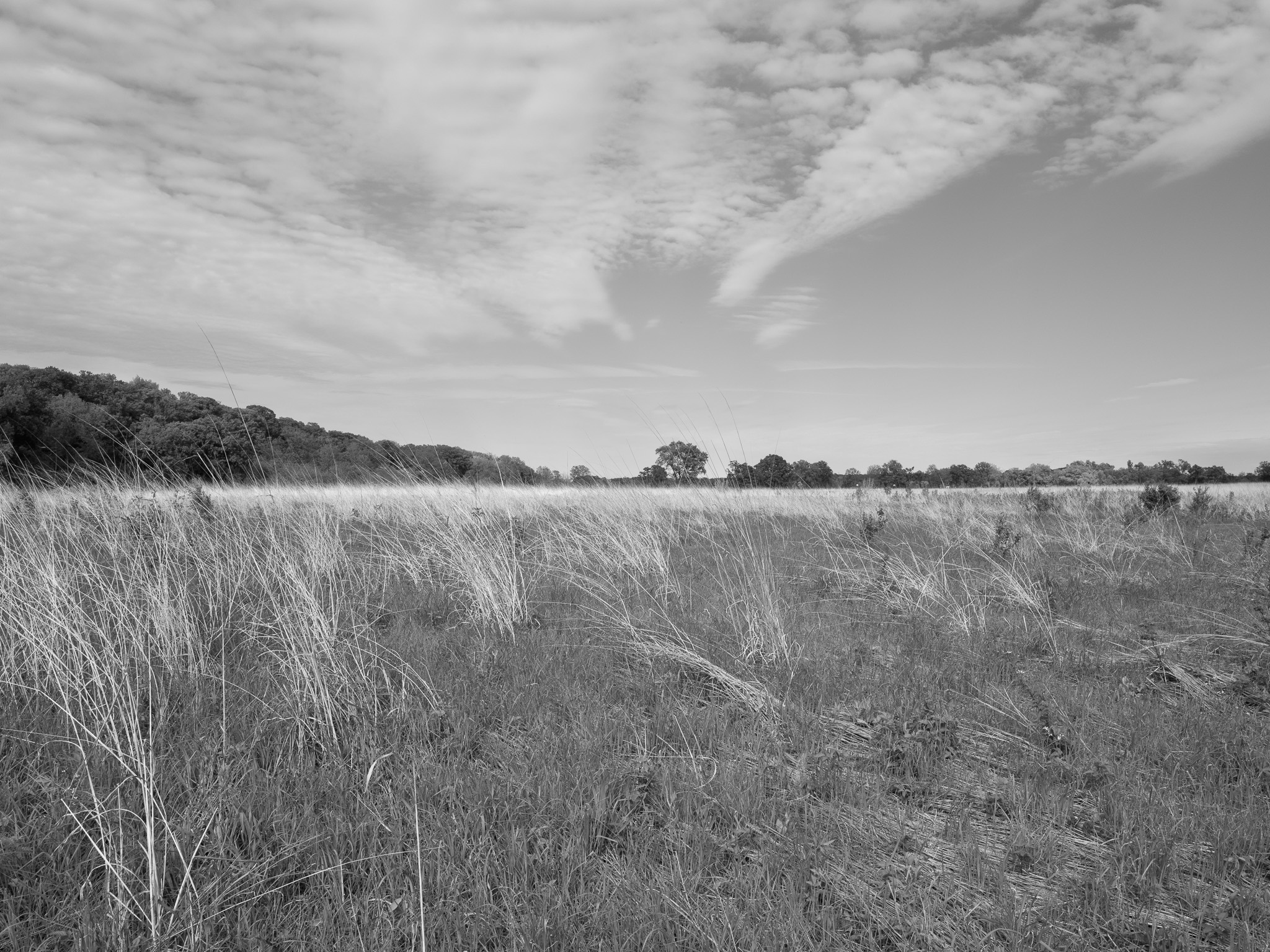 Prophetstown State Park 3