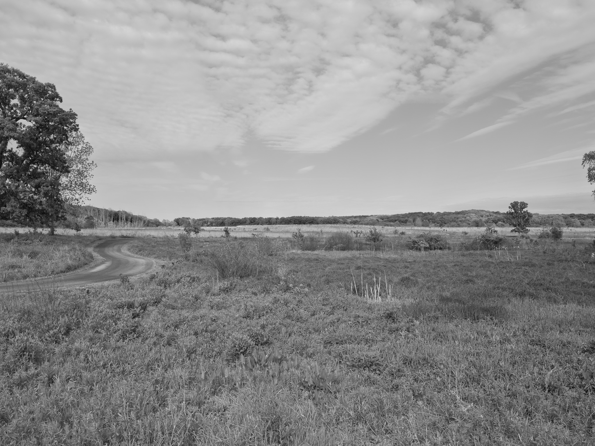 Prophetstown State Park 4