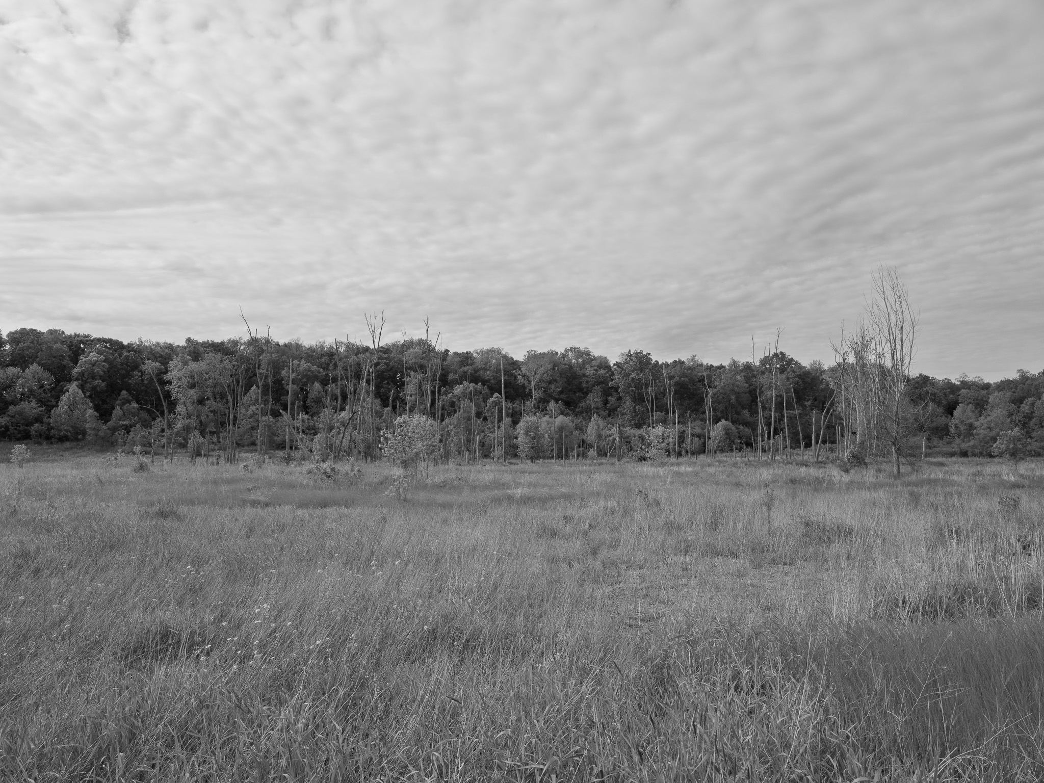 Prophetstown State Park 5