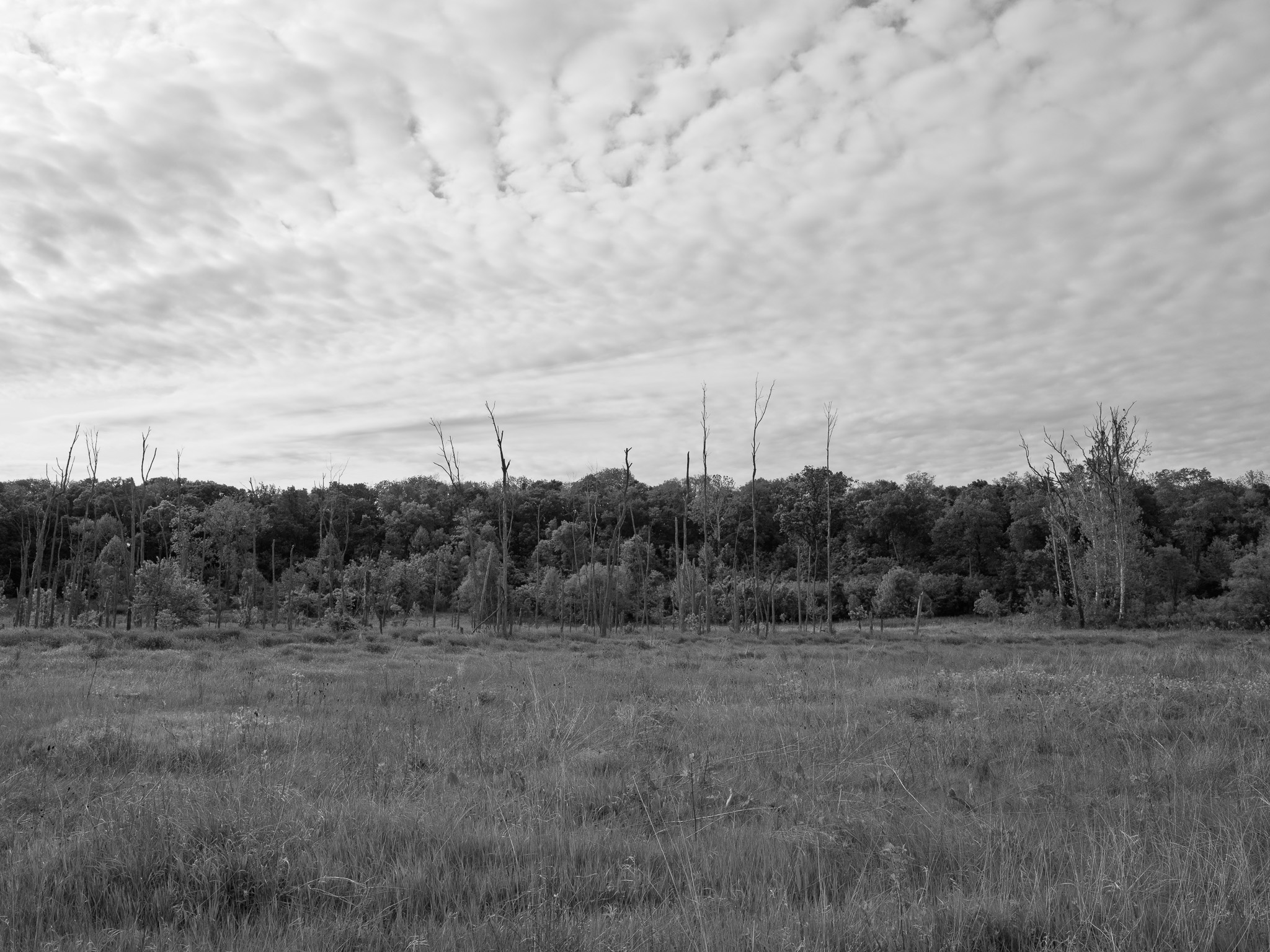 Prophetstown State Park 6