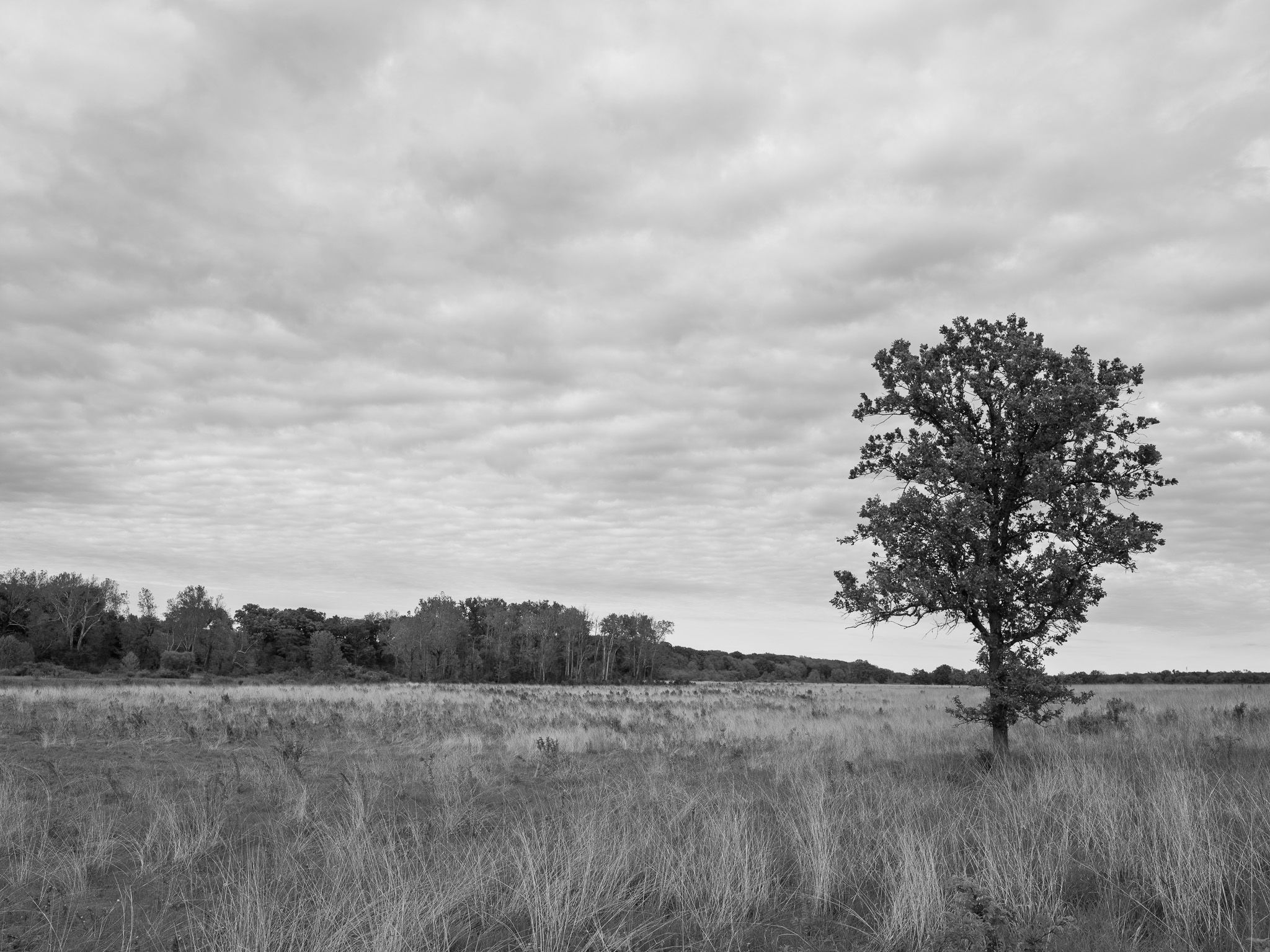 Prophetstown State Park 7