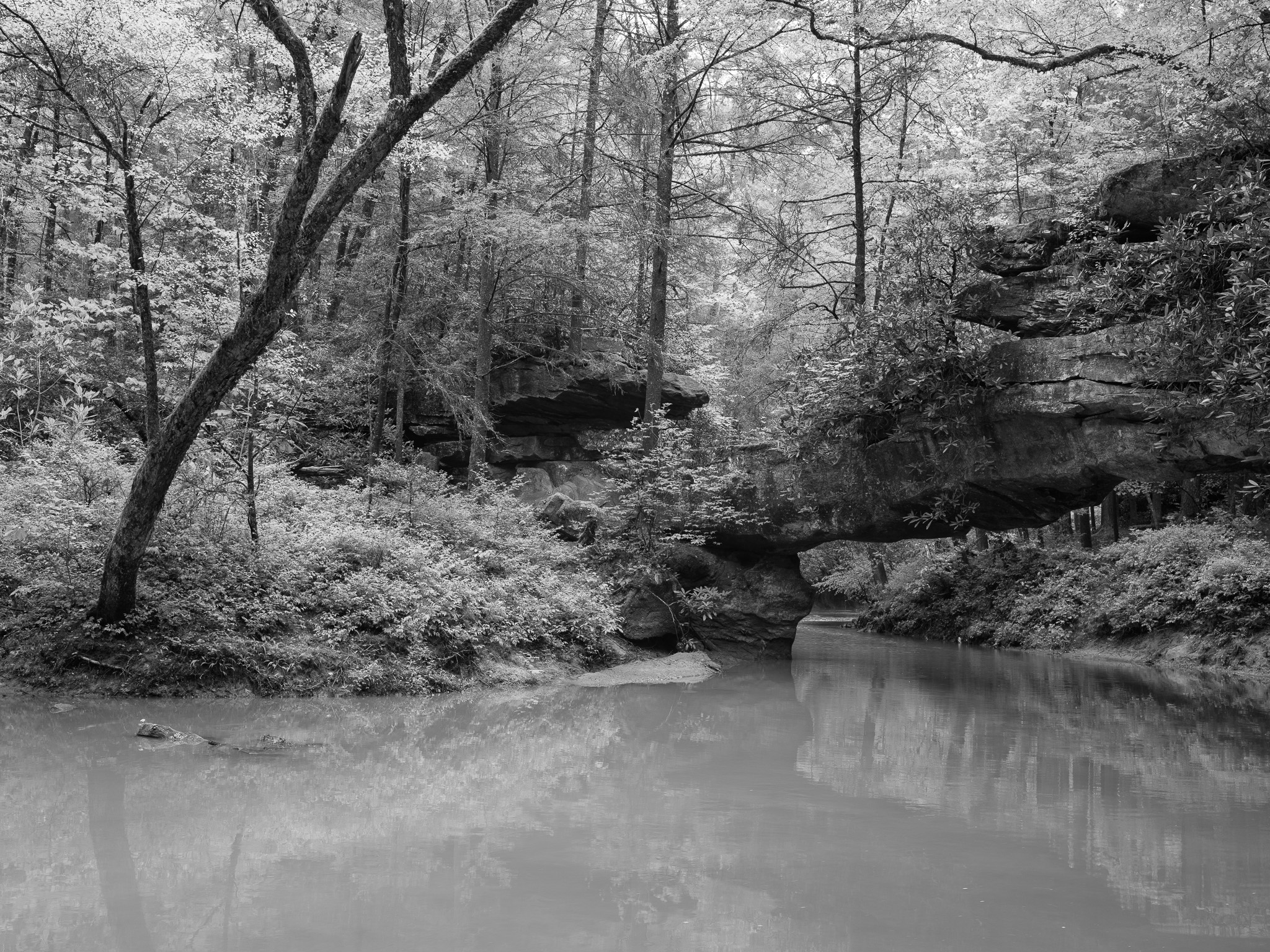 Red River Gorge Geological Area I