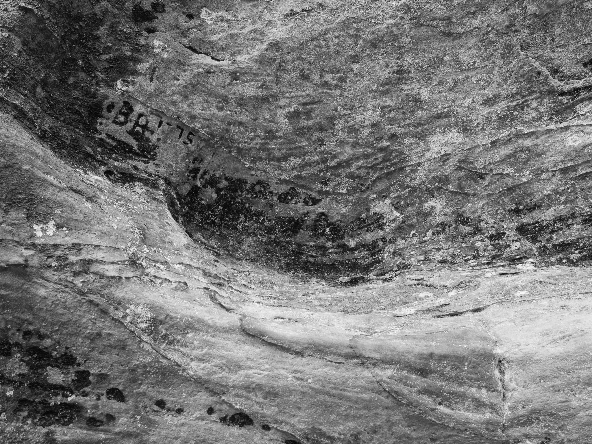 Red River Gorge Geological Area IV