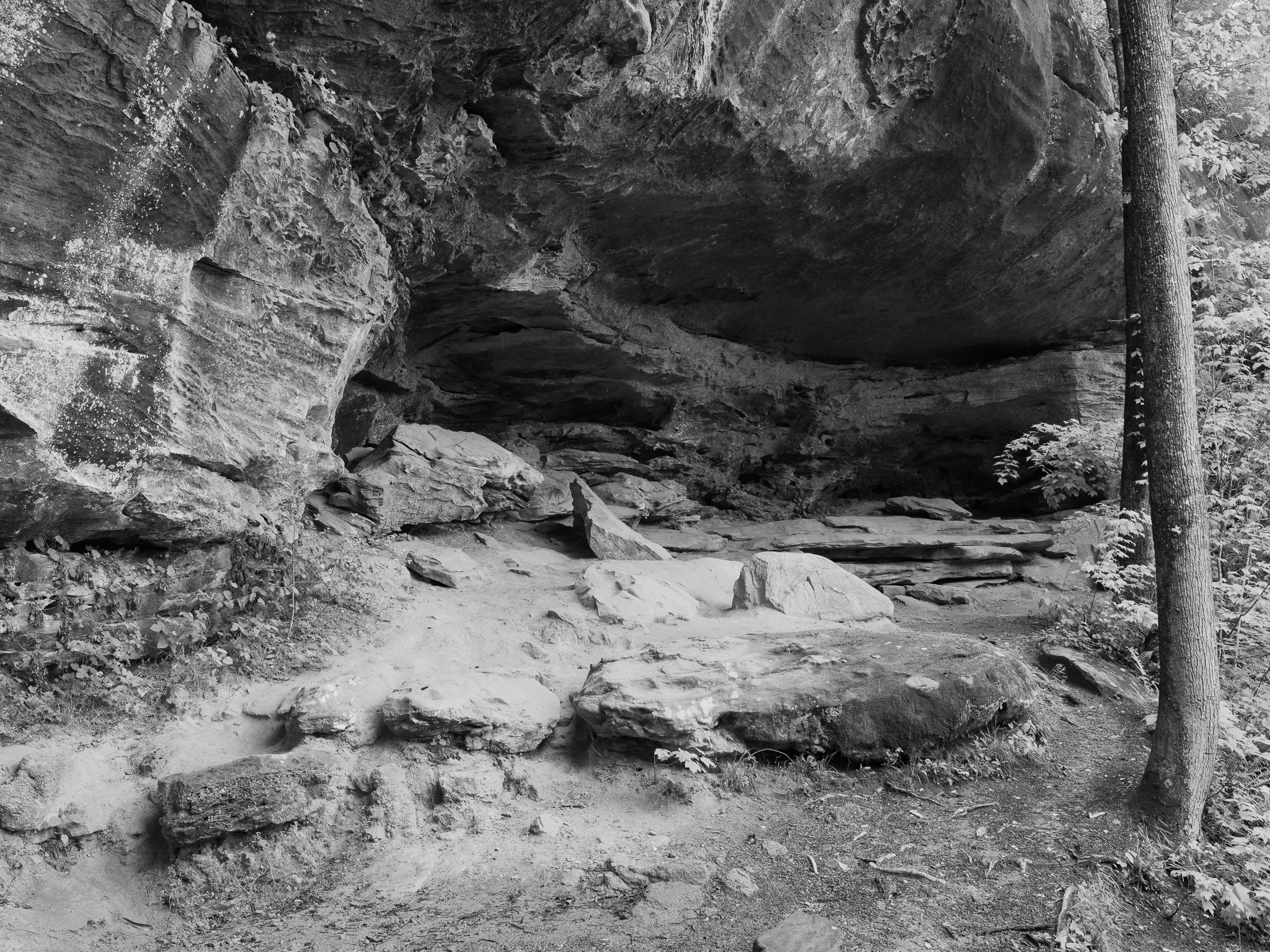 Red River Gorge Geological Area VIII