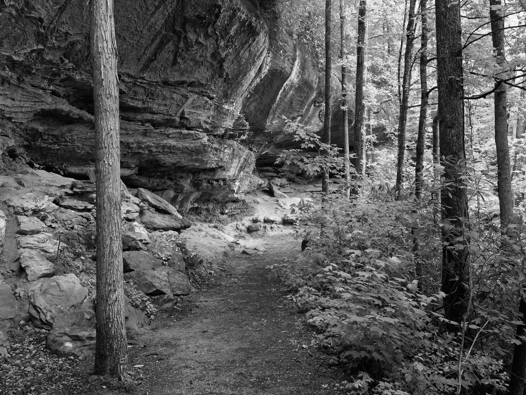 Red River Gorge Geological Area IX