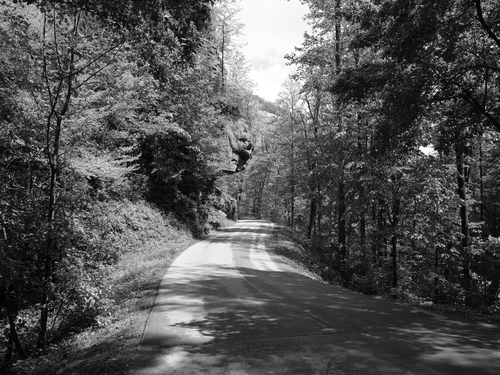 Red River Gorge Geological Area XI