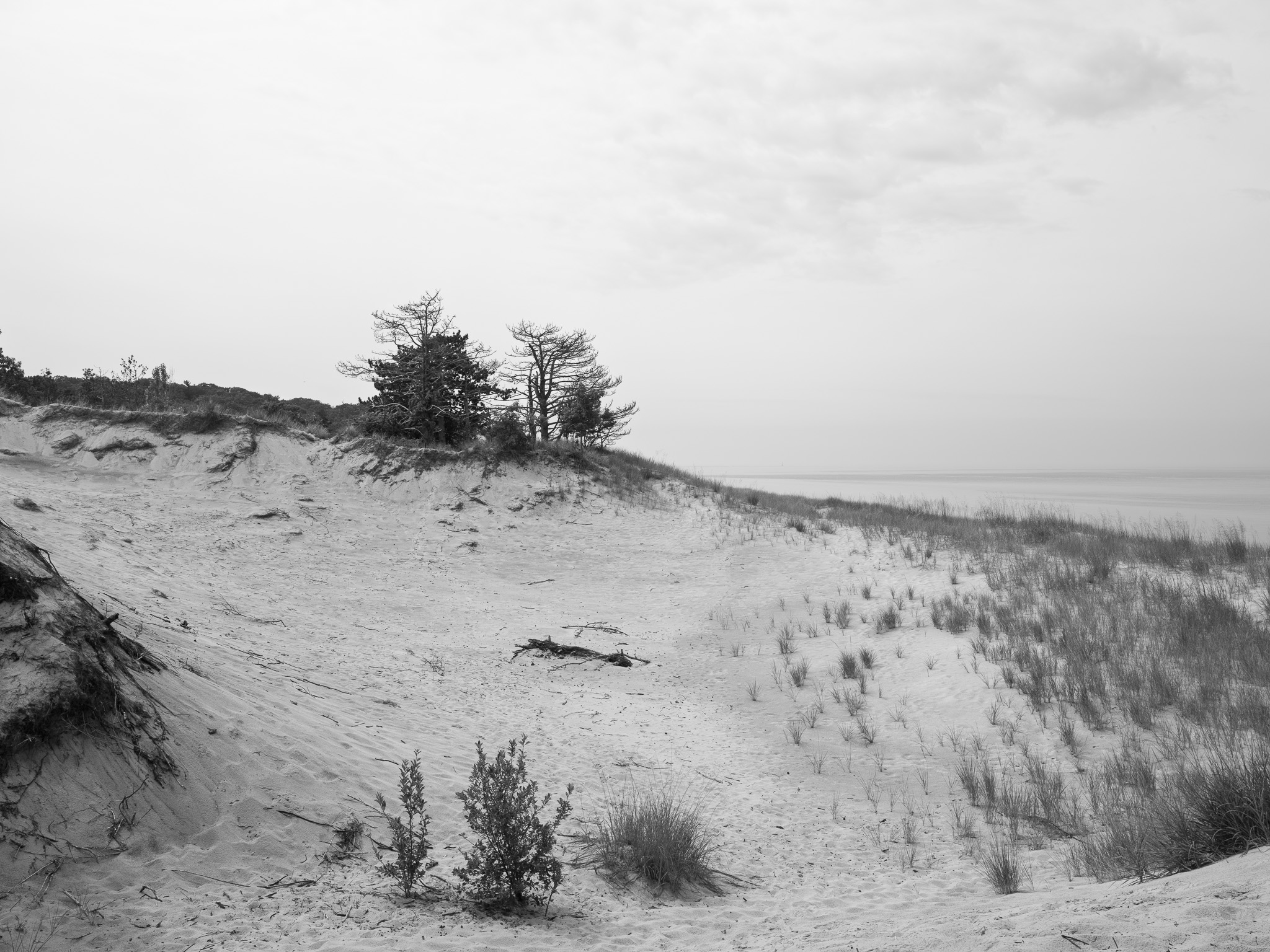 Saugatuck Dunes State Park 4