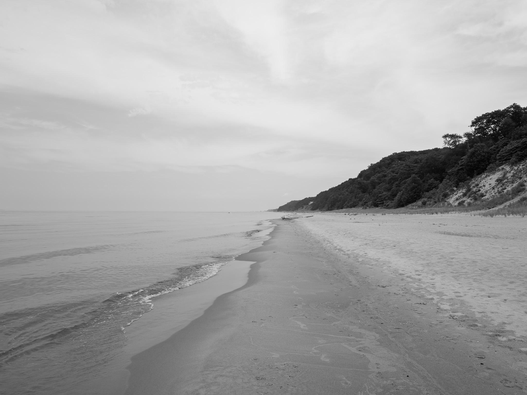 Saugatuck Dunes State Park 7