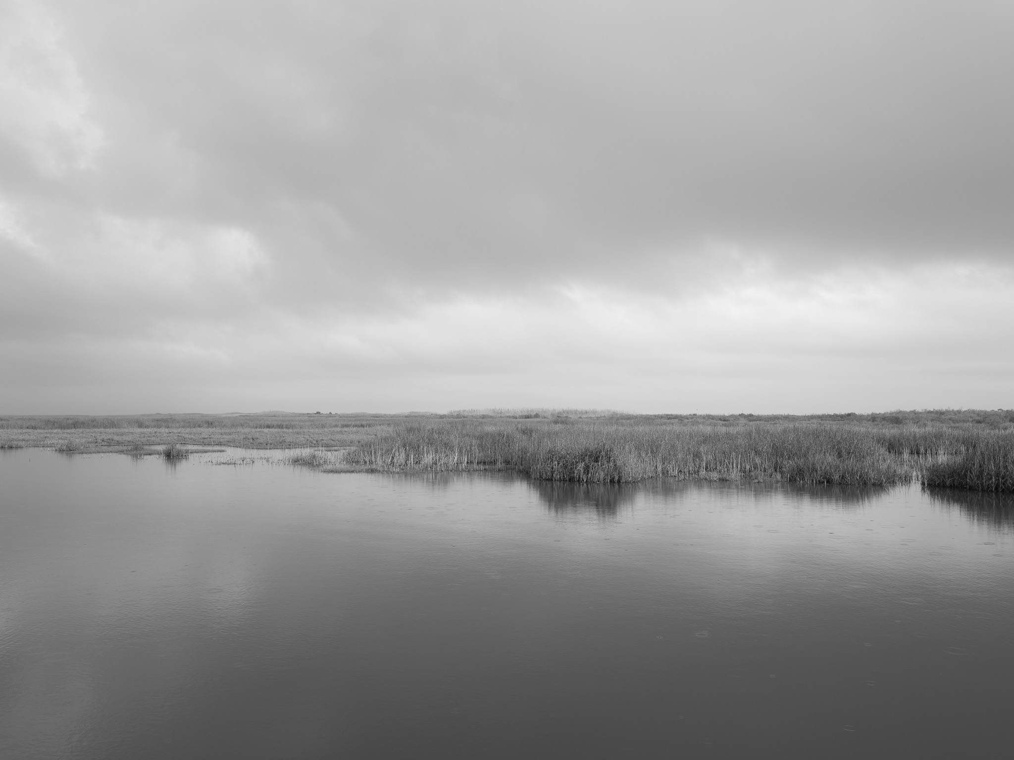 Sea Rim State Park III