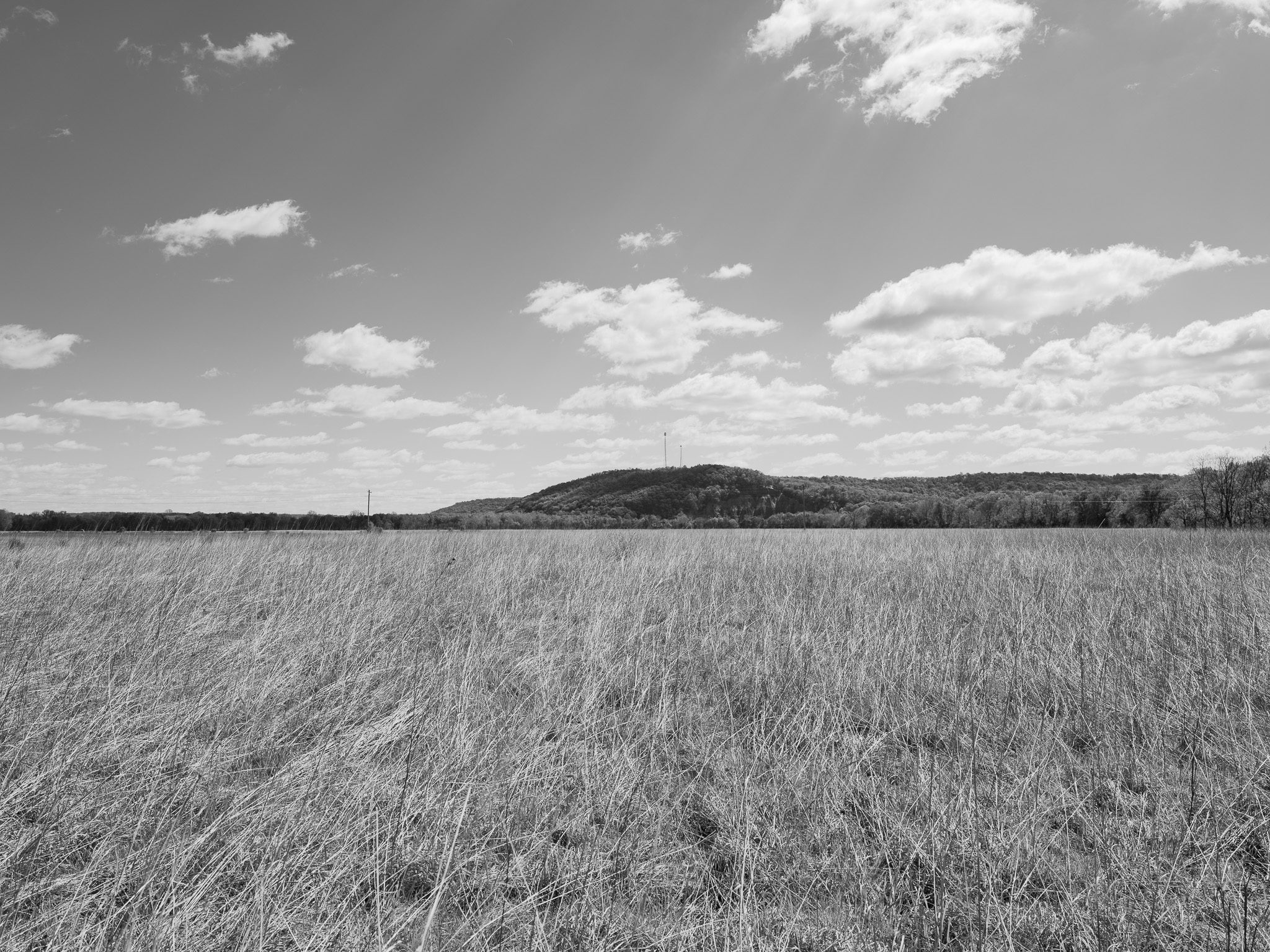 Seip Earthworks IV