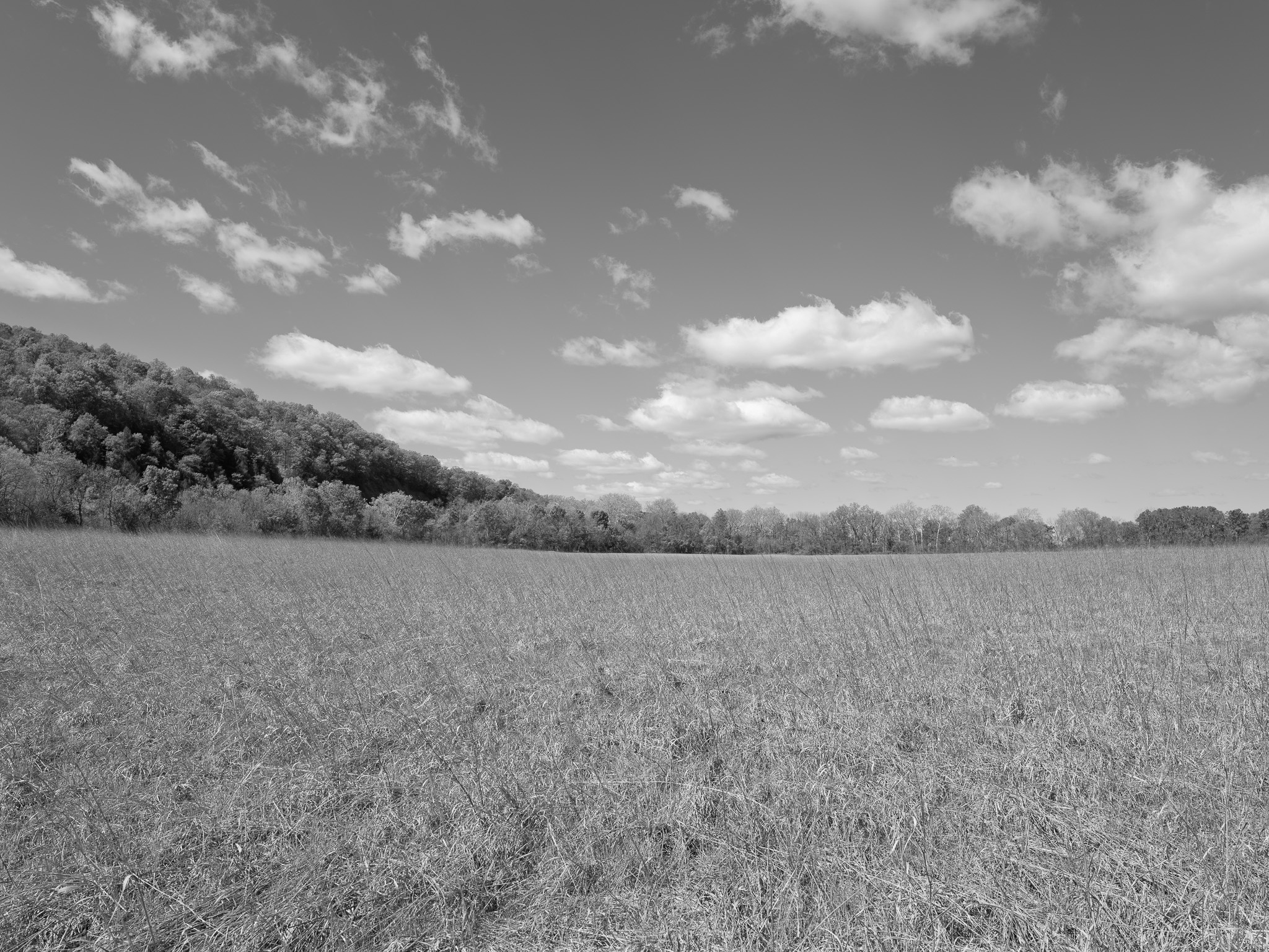 Seip Earthworks V