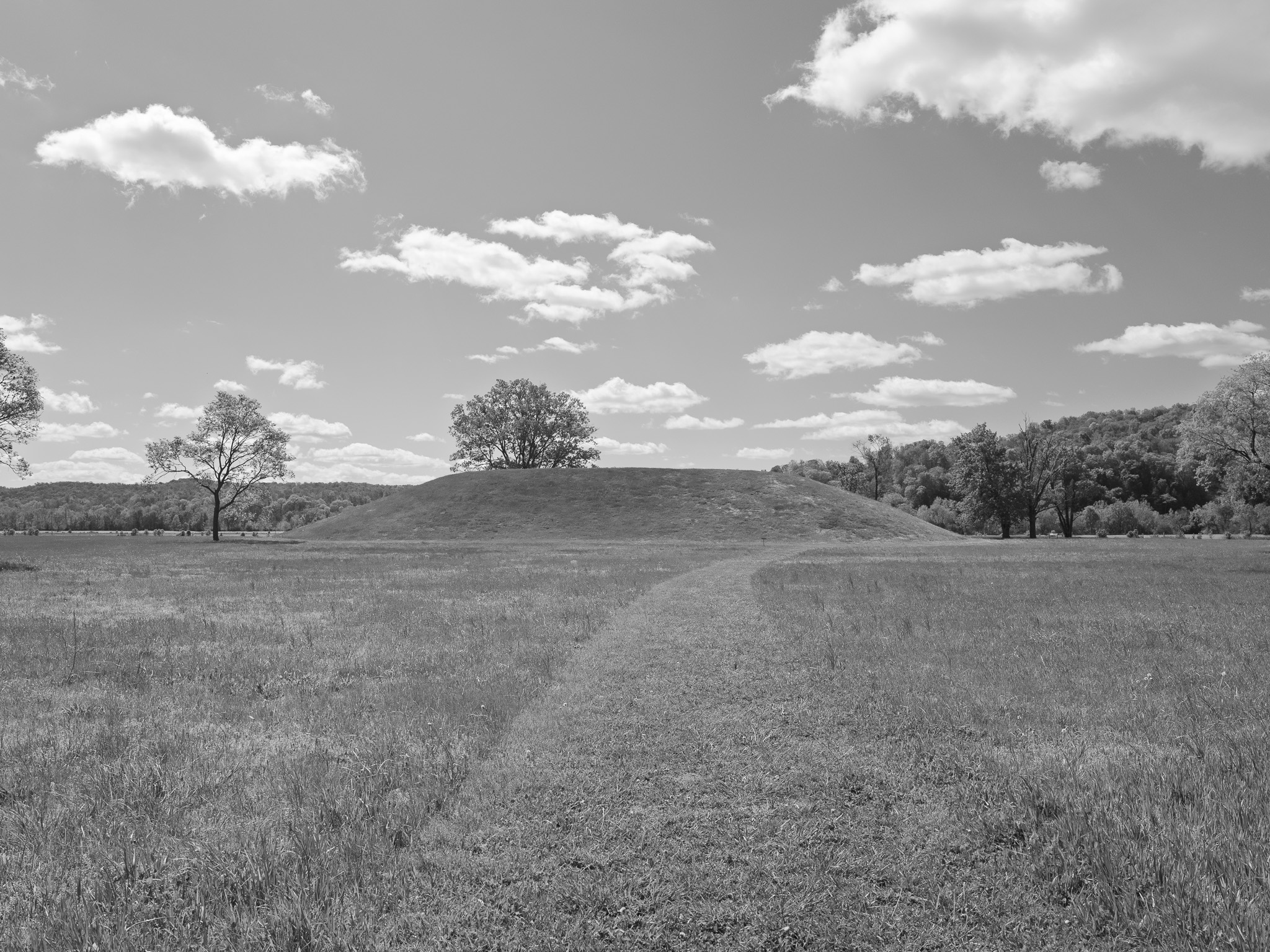 Seip Earthworks VIII