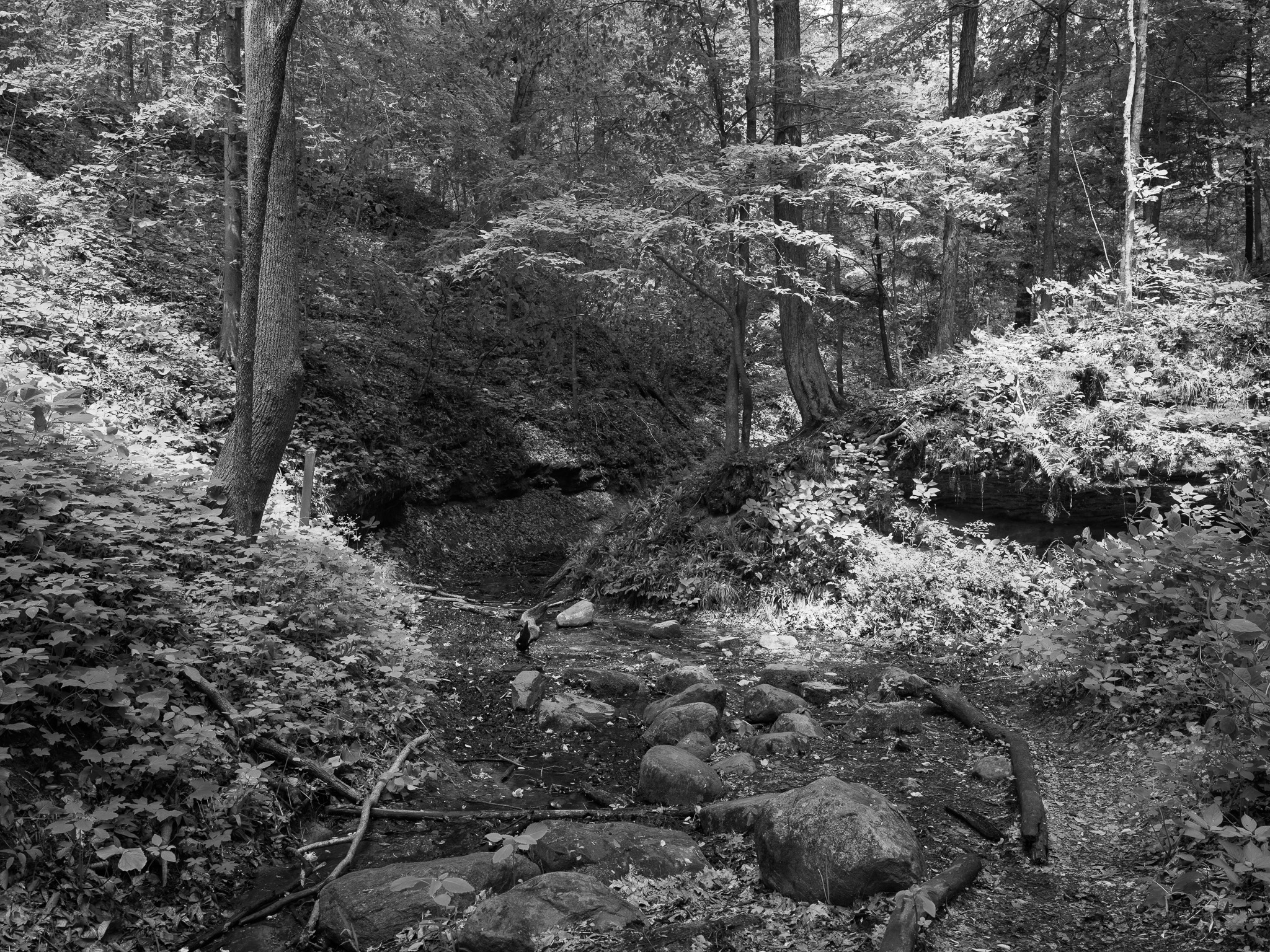 Shades State Park 3
