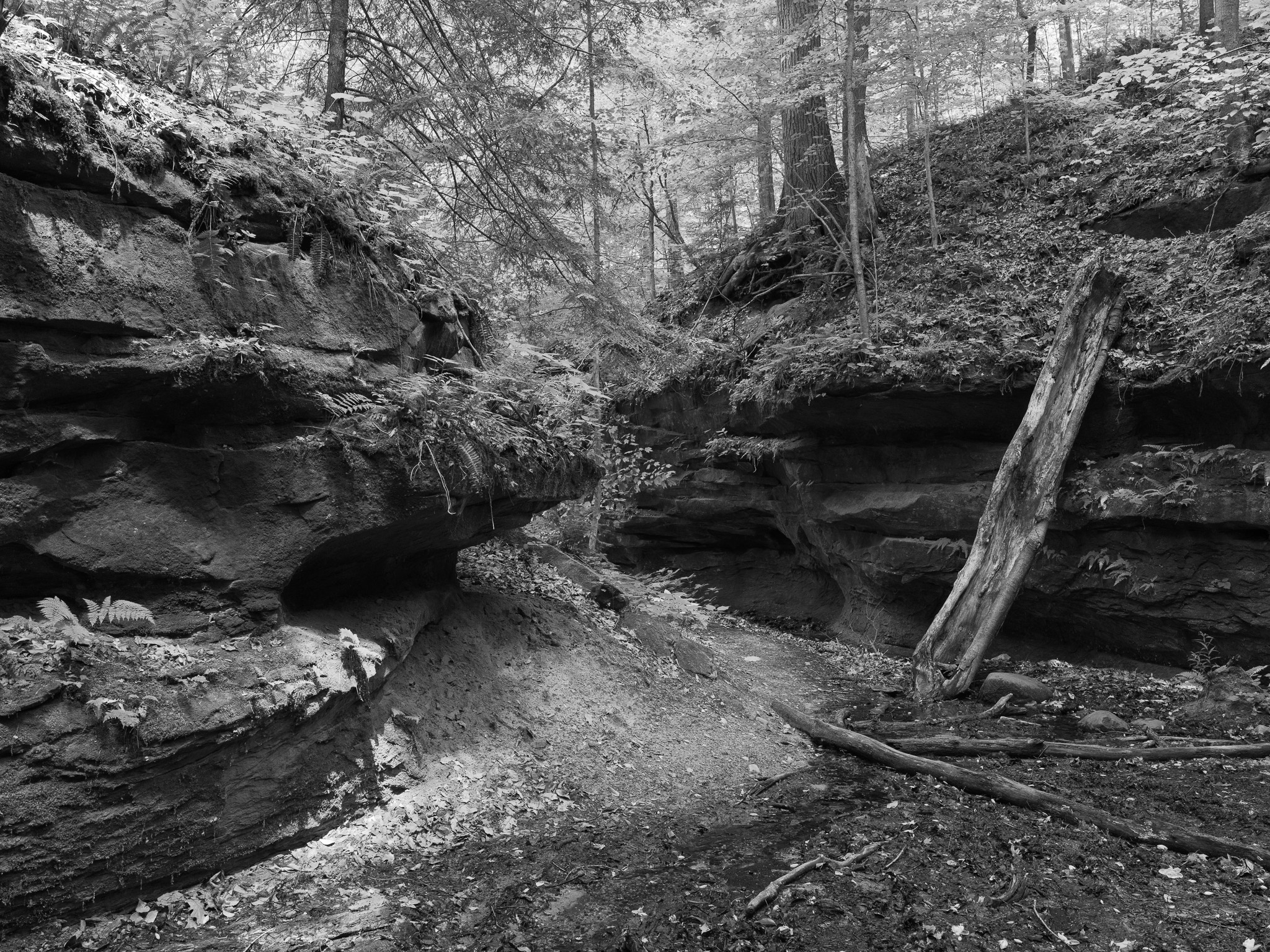 Shades State Park 6