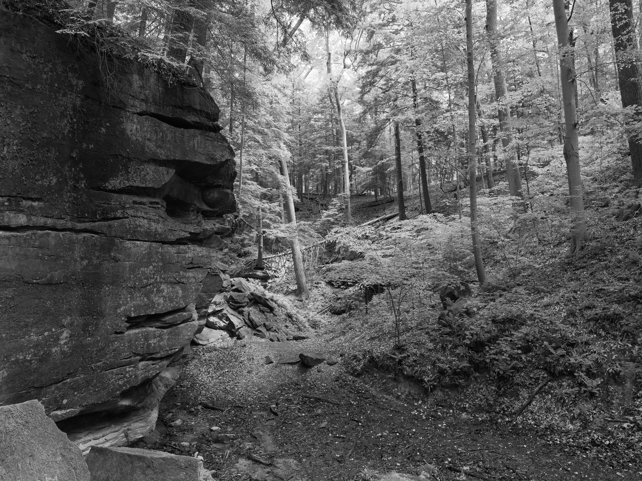 Shades State Park 9