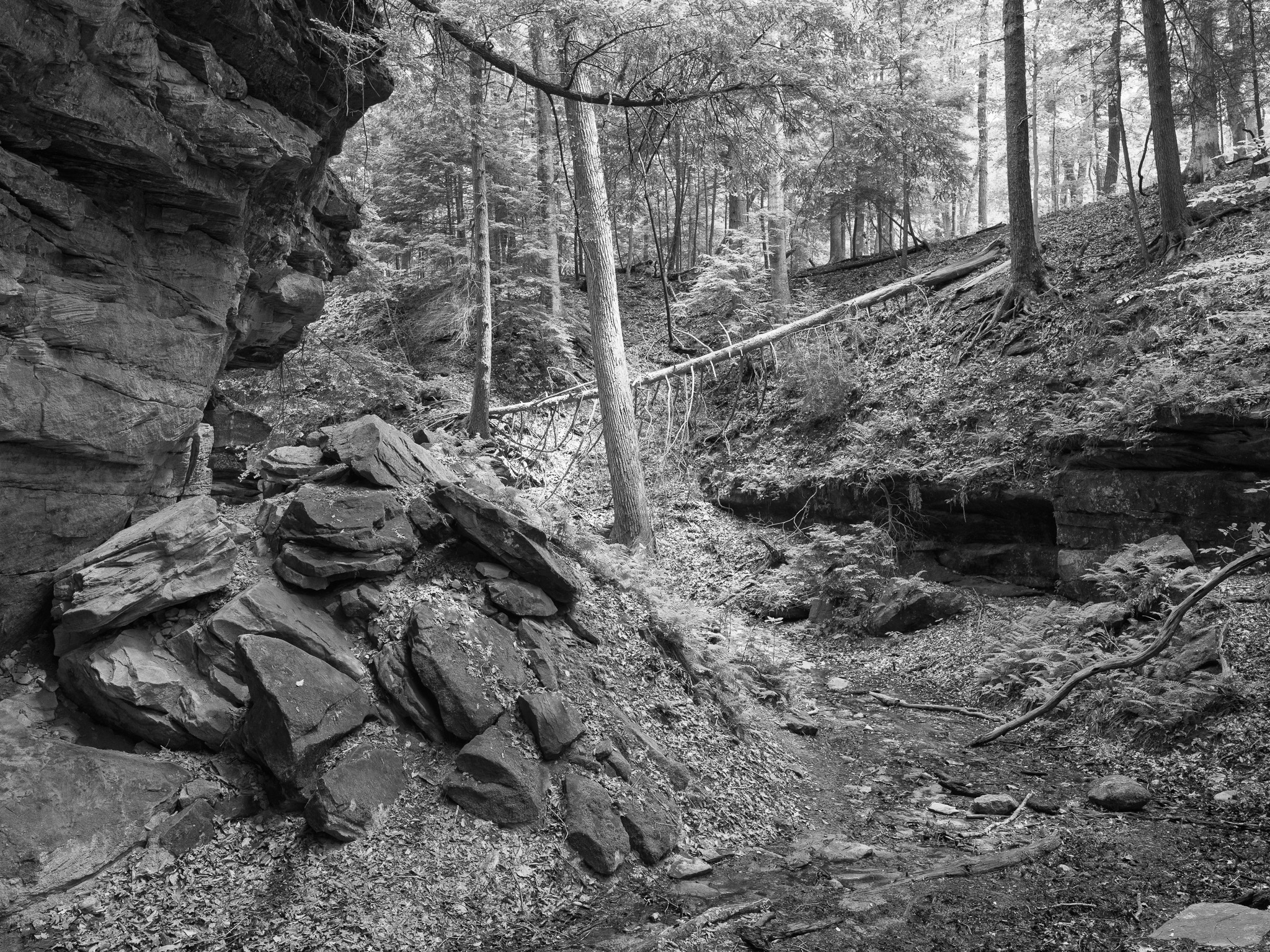 Shades State Park 10