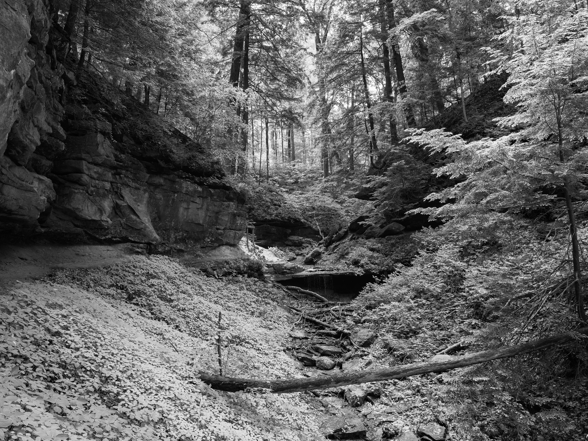 Shades State Park 12