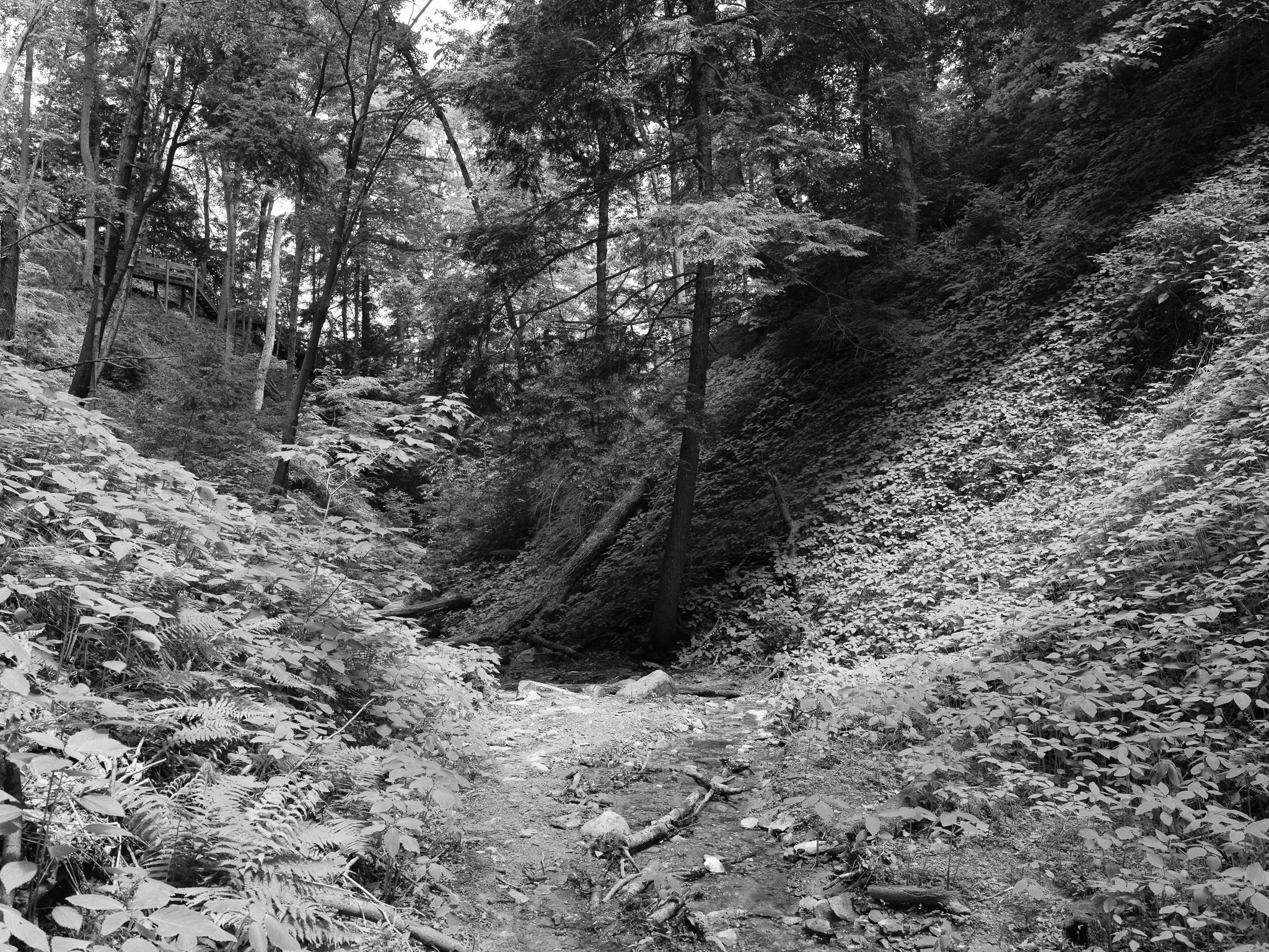 Shades State Park 13