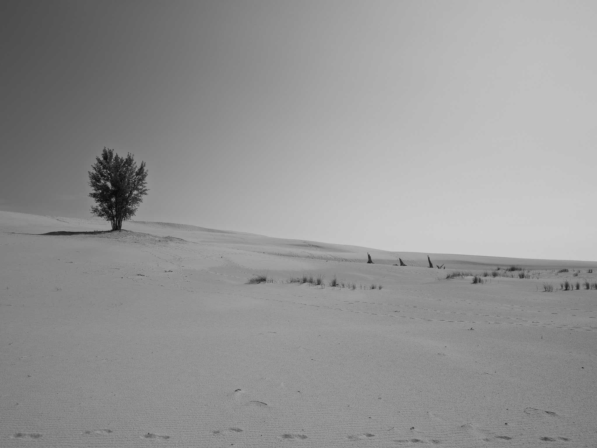 Silver Lake State Park 9