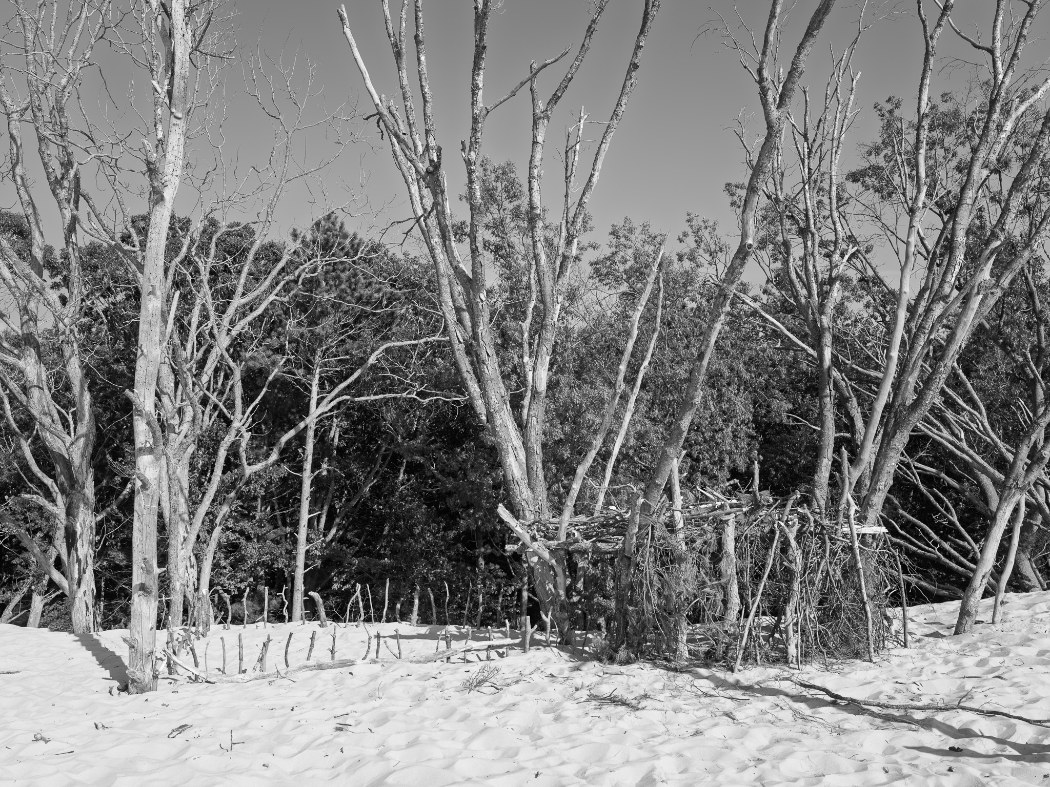 Silver Lake State Park 7