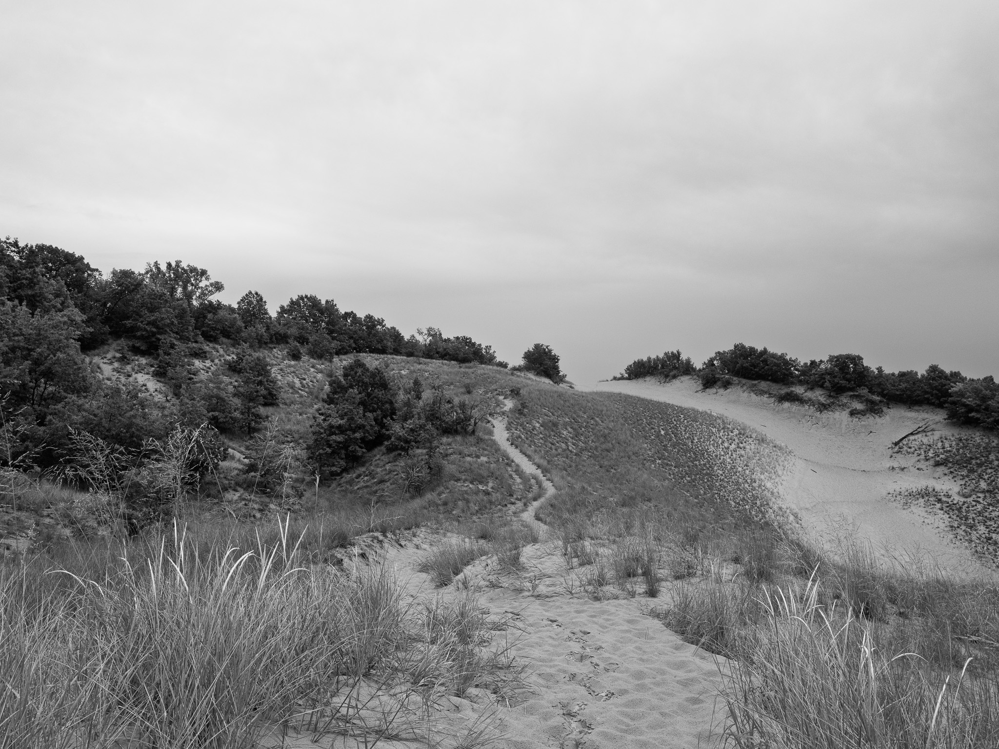 Warren Dunes State Park 3