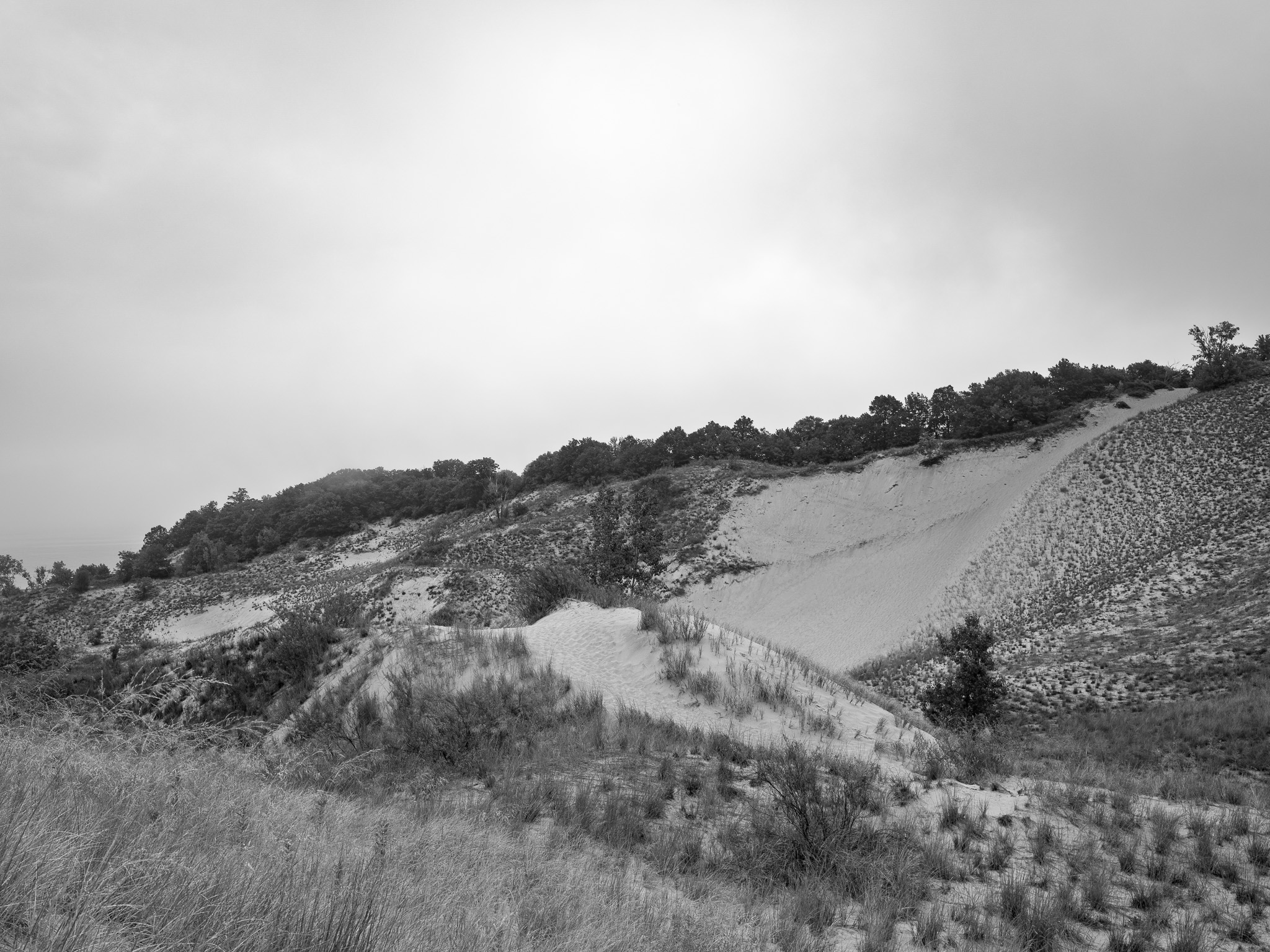 Warren Dunes State Park 6
