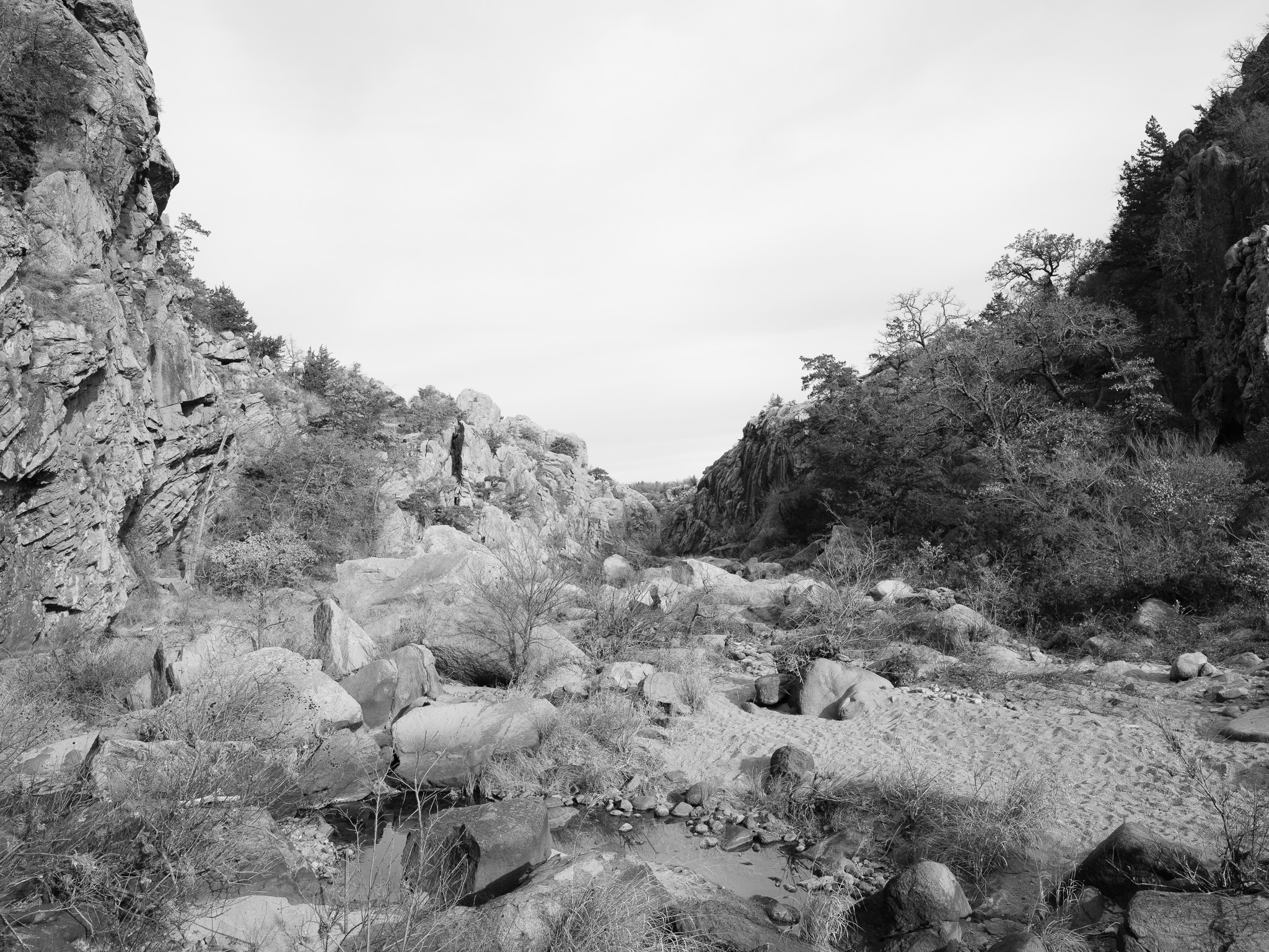 Wichita Mountains VII