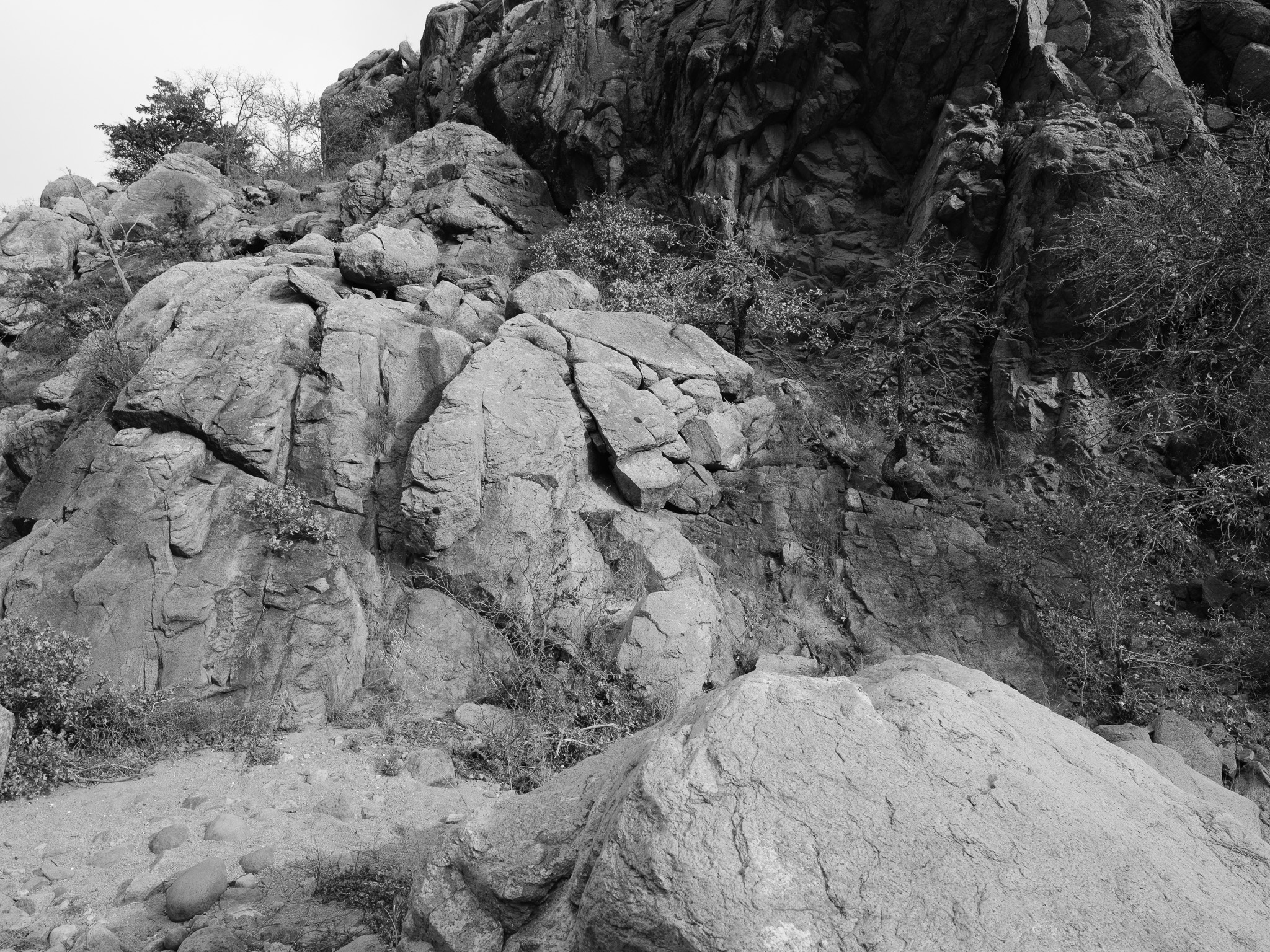 Wichita Mountains VIII