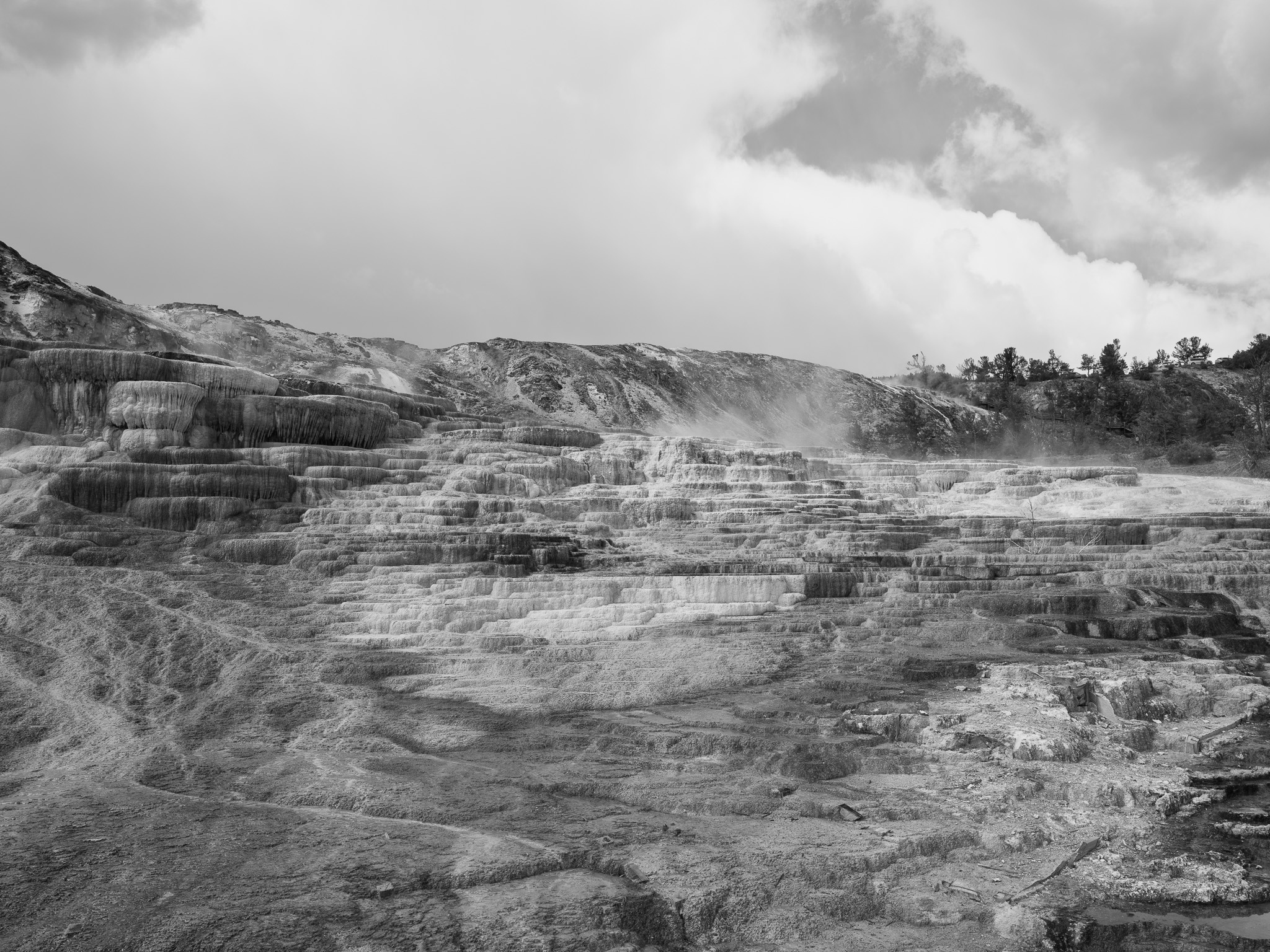 Yellowstone National Park 3