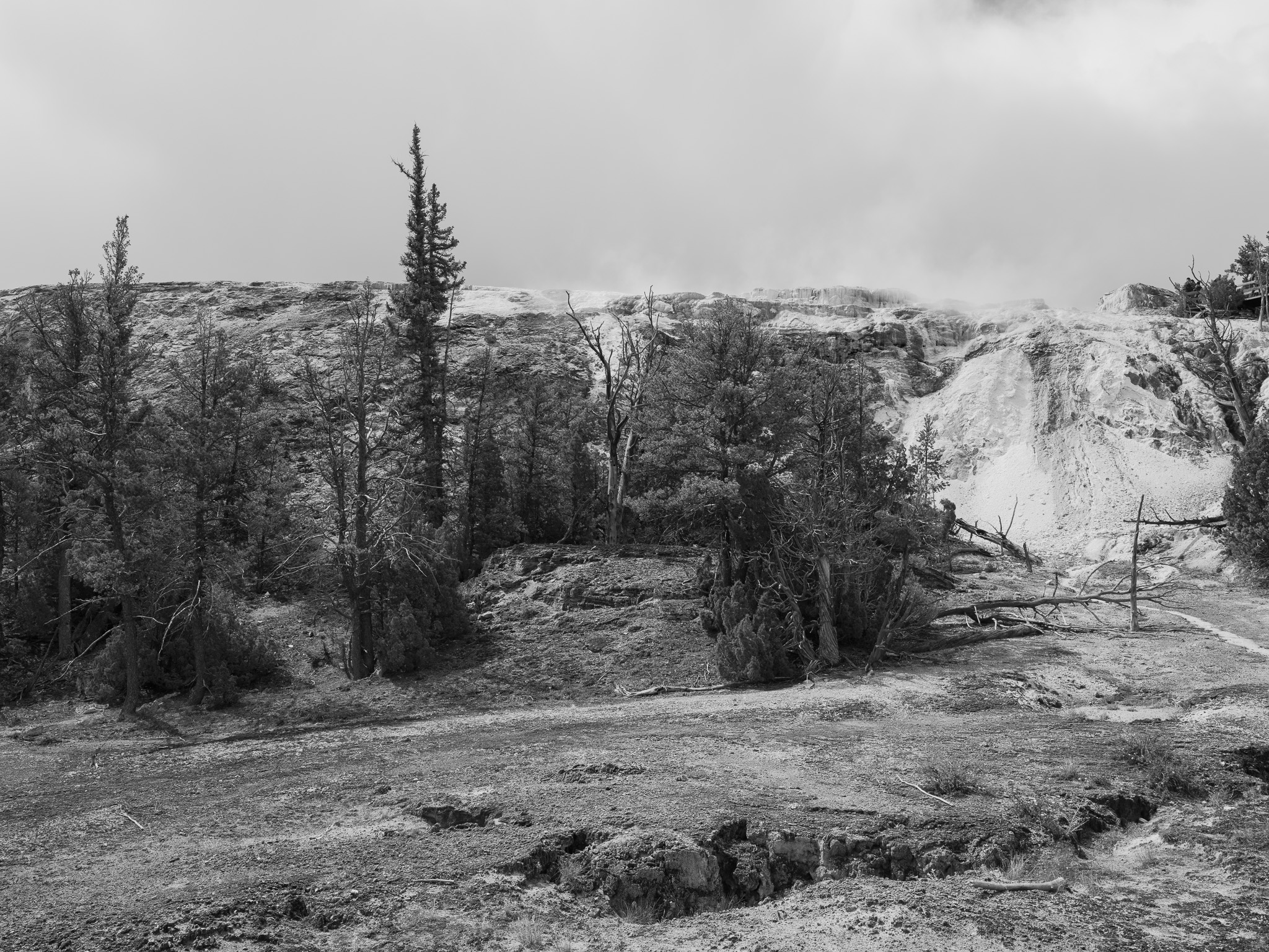 Yellowstone National Park 4