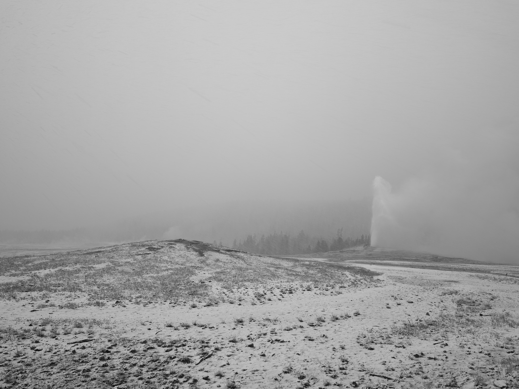 Yellowstone National Park 7