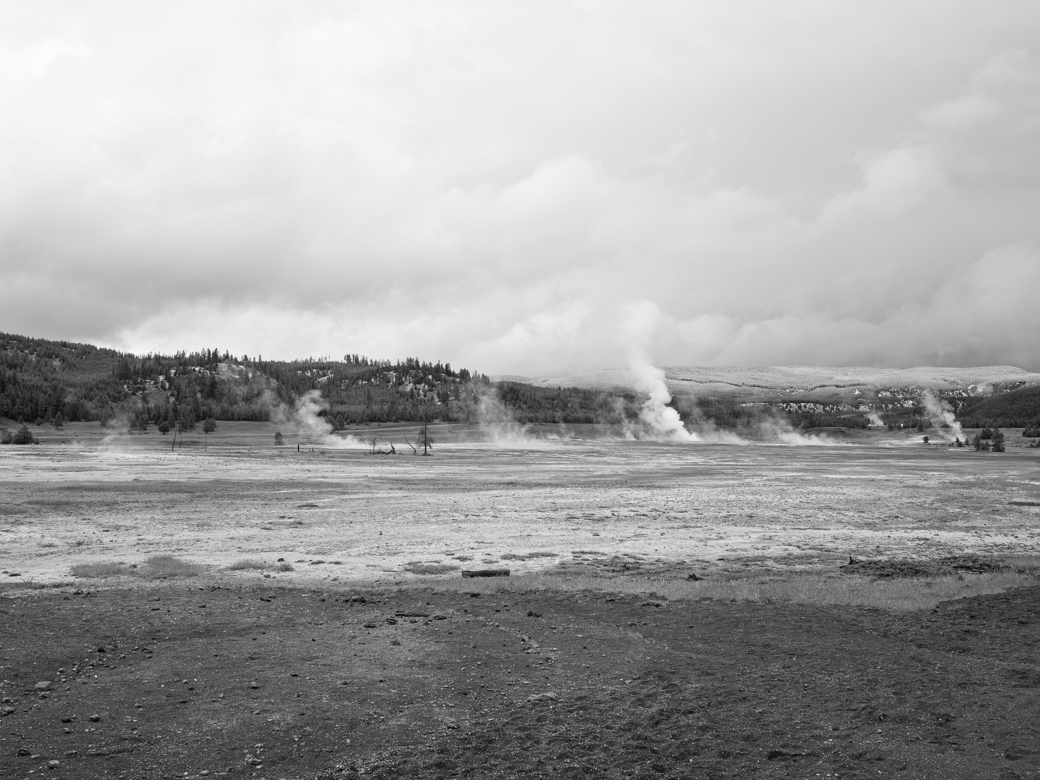 Yellowstone National Park 10