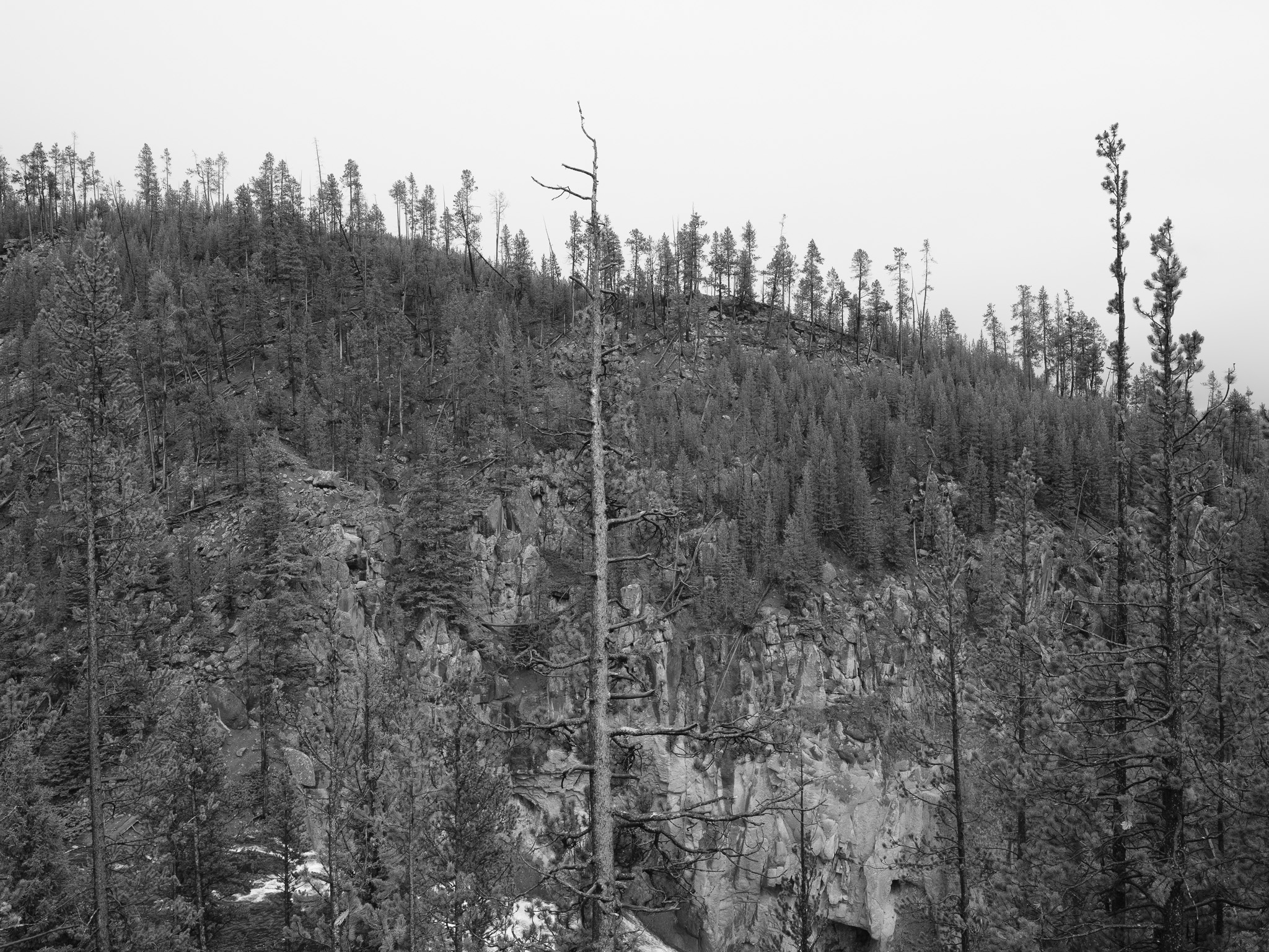 Yellowstone National Park 13