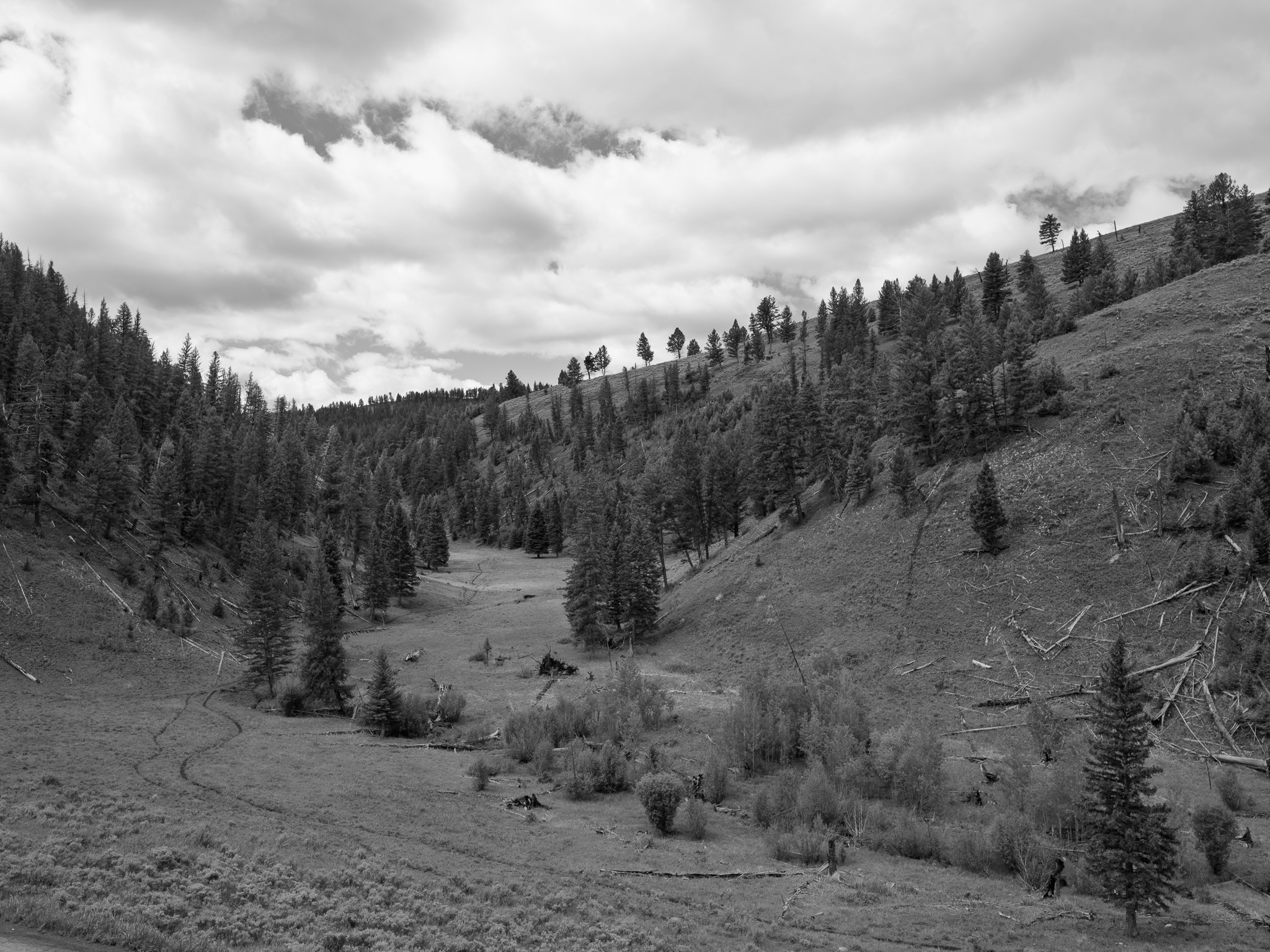 Yellowstone National Park 14
