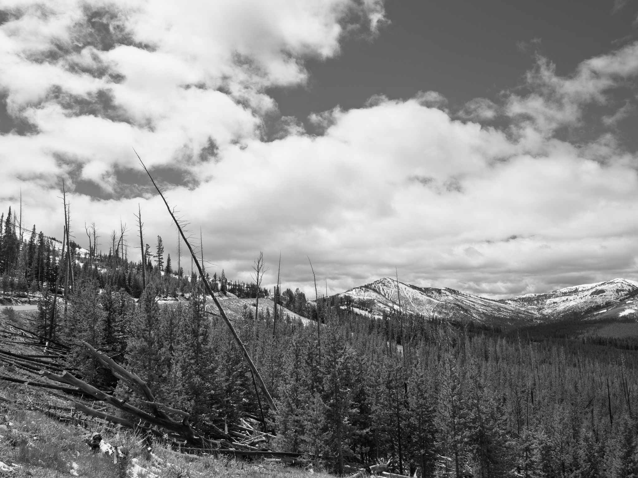 Yellowstone National Park 15