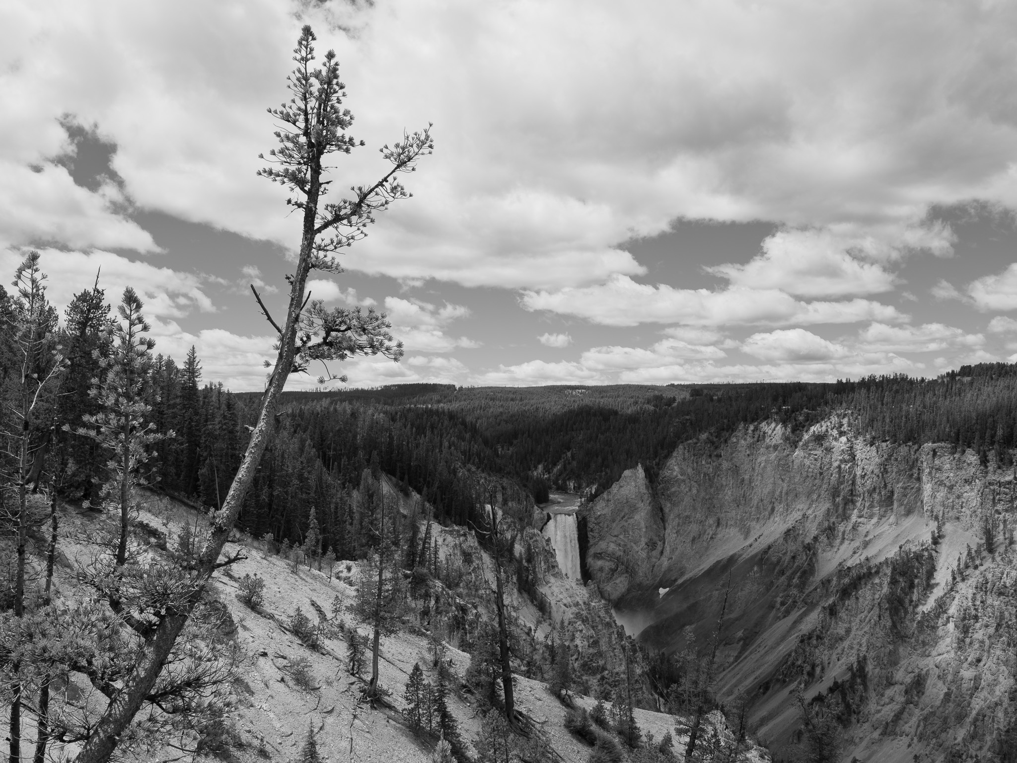Yellowstone National Park 17