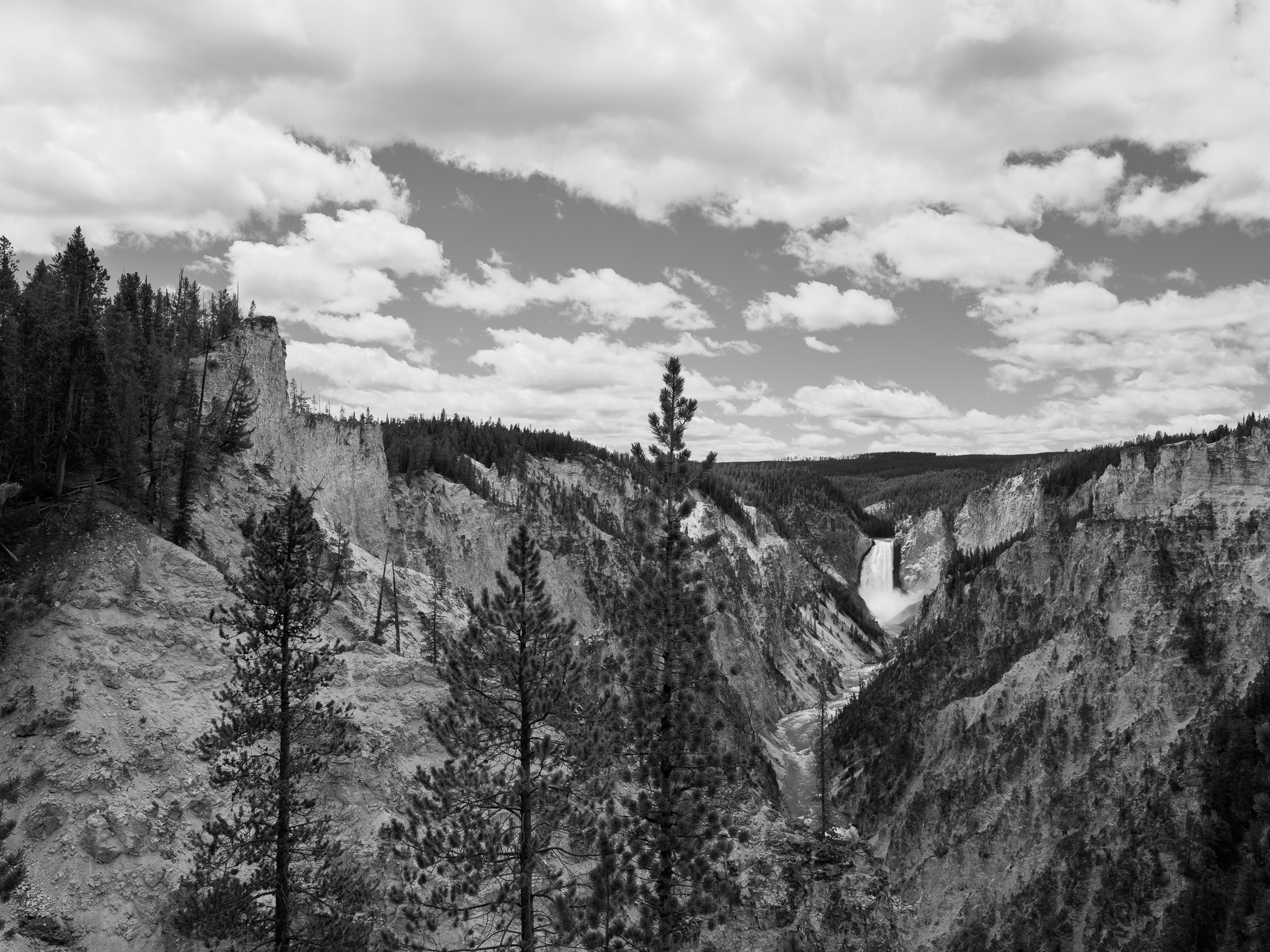 Yellowstone National Park 21