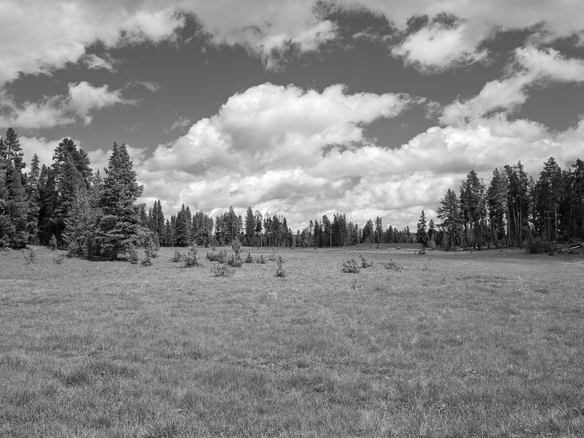 Yellowstone National Park 22