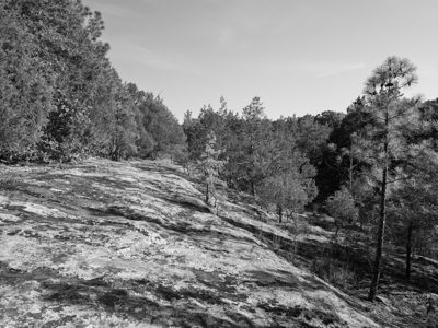 Bell Smith Springs Recreation Area 5