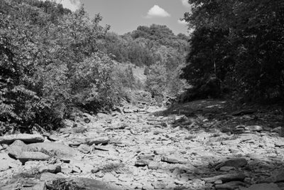 Bender Mountain Nature Preserve 1