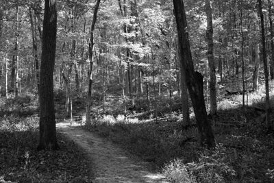 Bender Mountain Nature Preserve 2