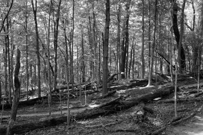 Bender Mountain Nature Preserve 4
