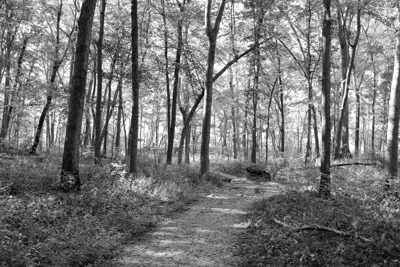 Bender Mountain Nature Preserve 5