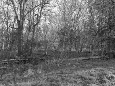 Big Bone Lick State Historic Site 2