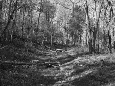 Big Bone Lick State Historic Site 3