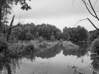 Big Oaks National Wildlife Refuge 4