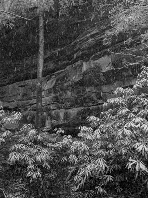 Big South Fork National River and Recreation Area 5